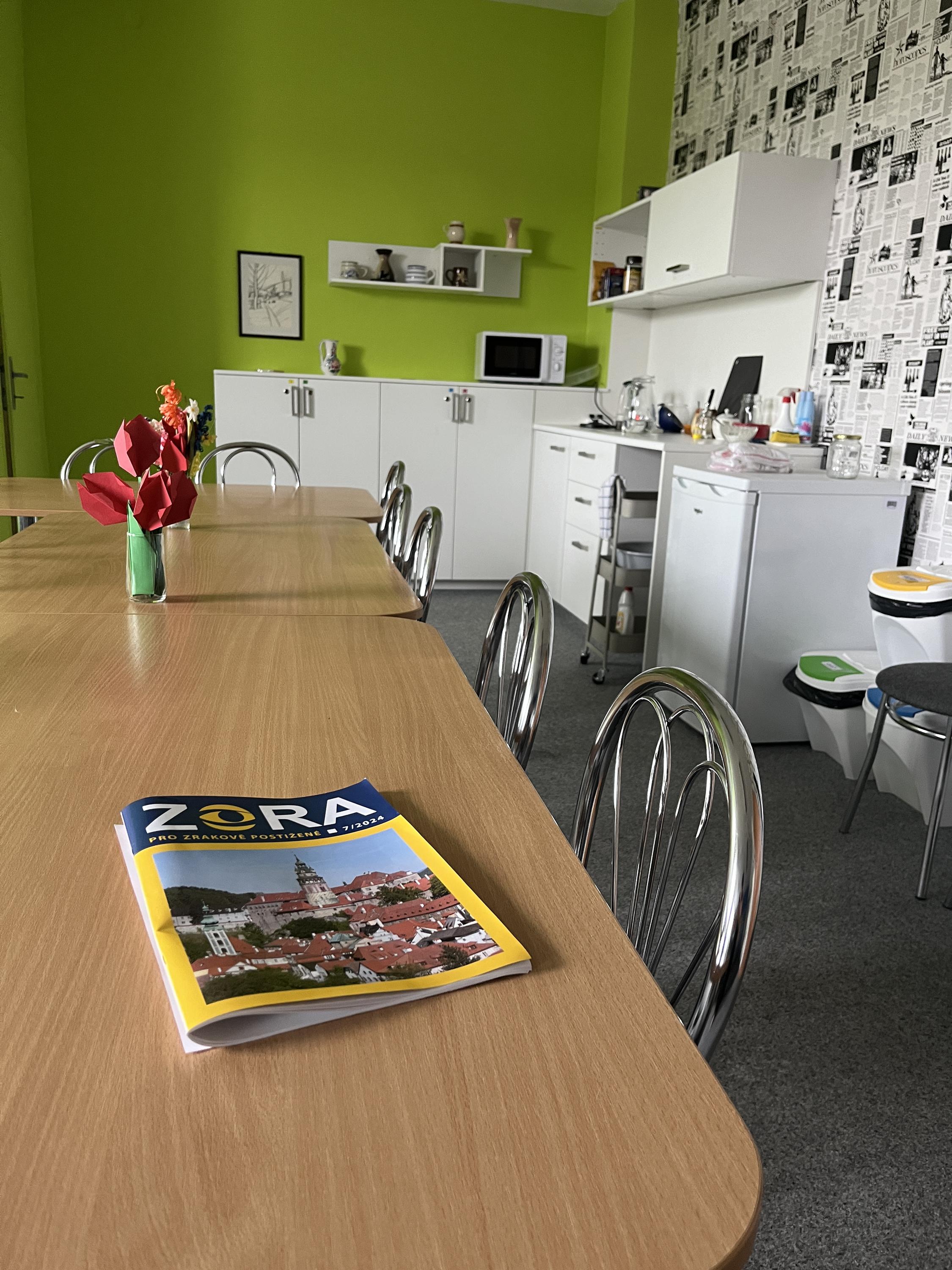 Sjednocená organizace nevidomých a slabozrakých České republiky foto 2
