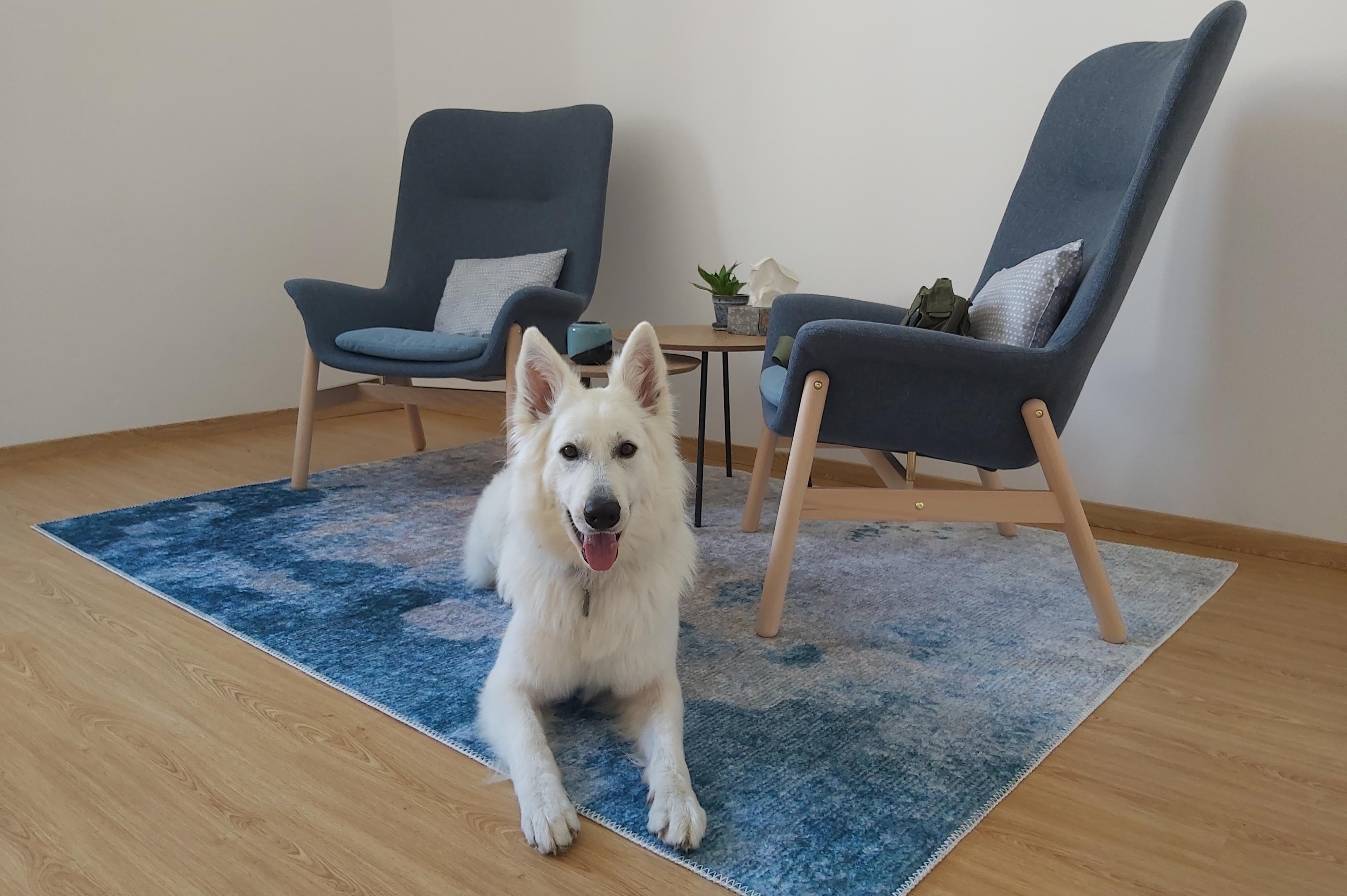 Psycholožka Lucie Hájková