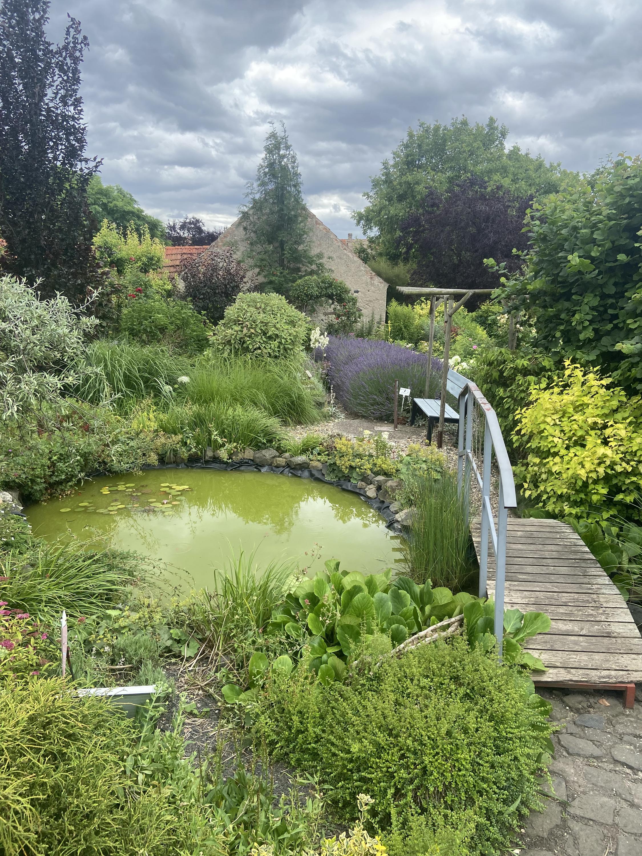 Levandulová zahrada Anette - kavárna foto 6