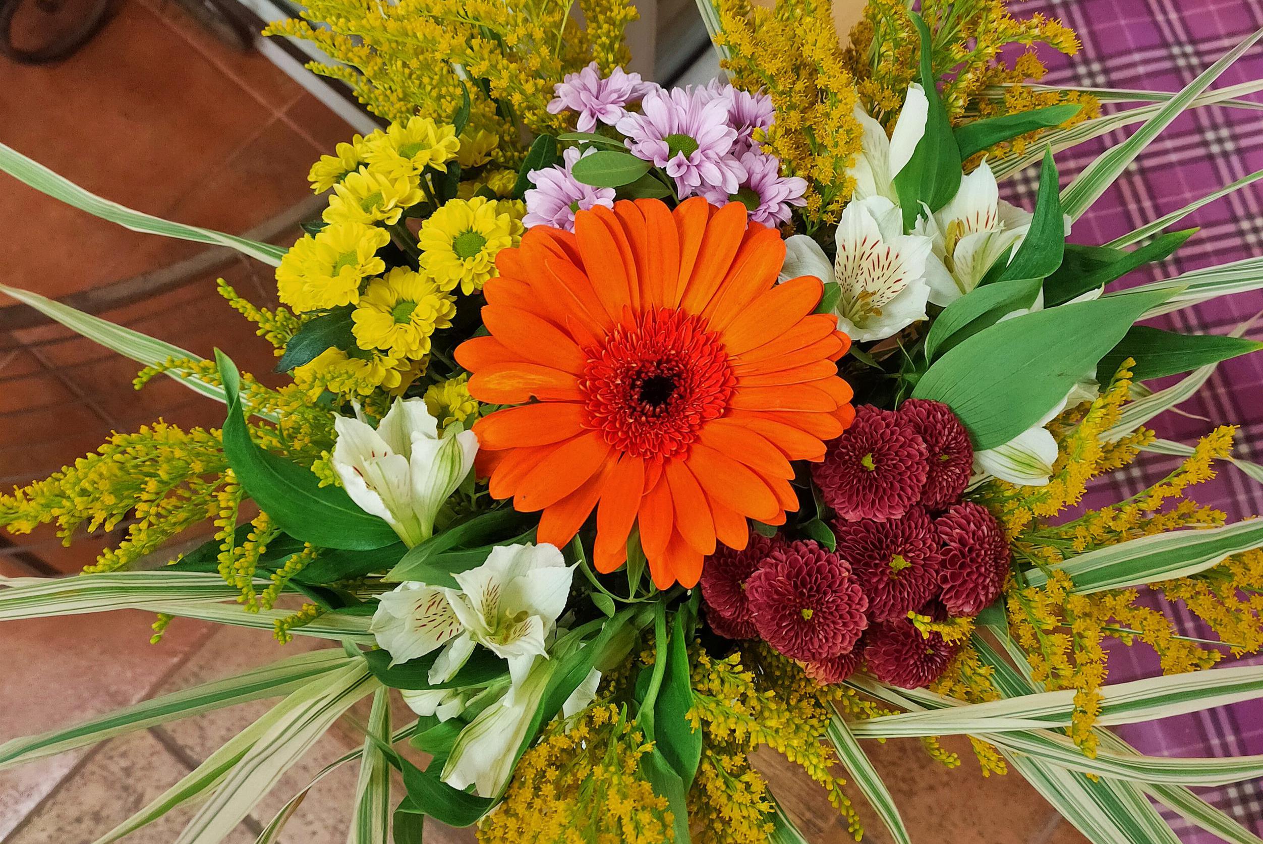 Květinka Klášterec