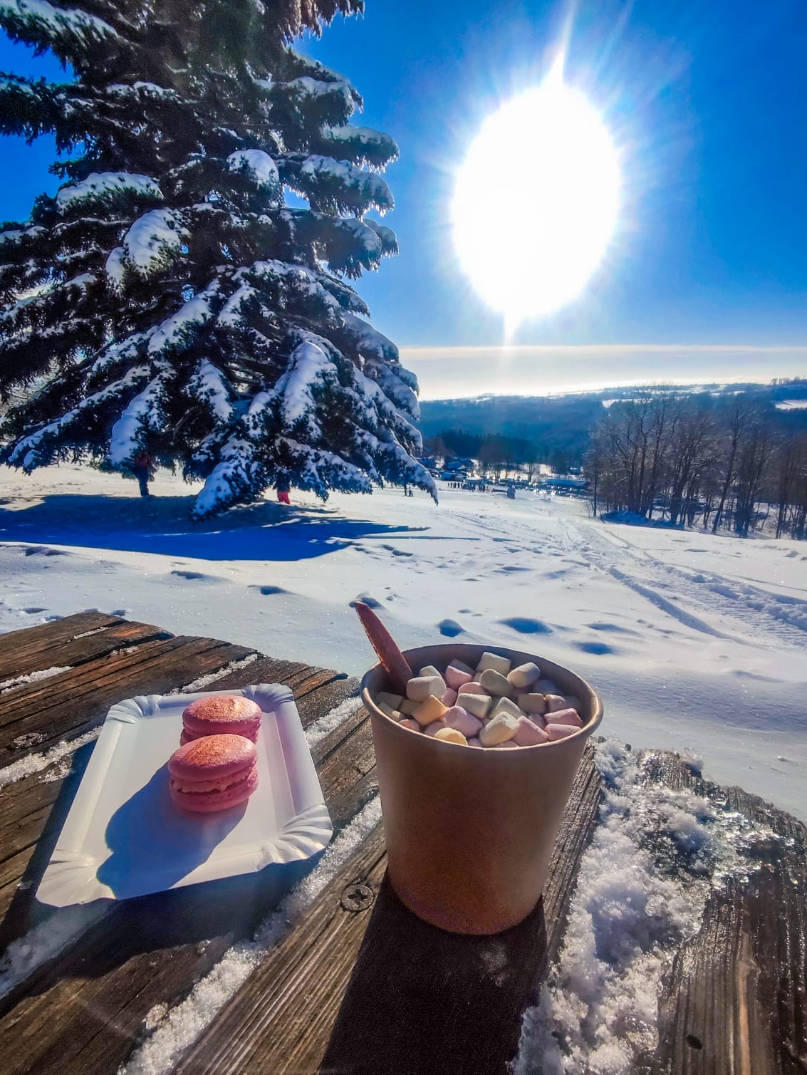 Občerstvení Pragovka foto 3