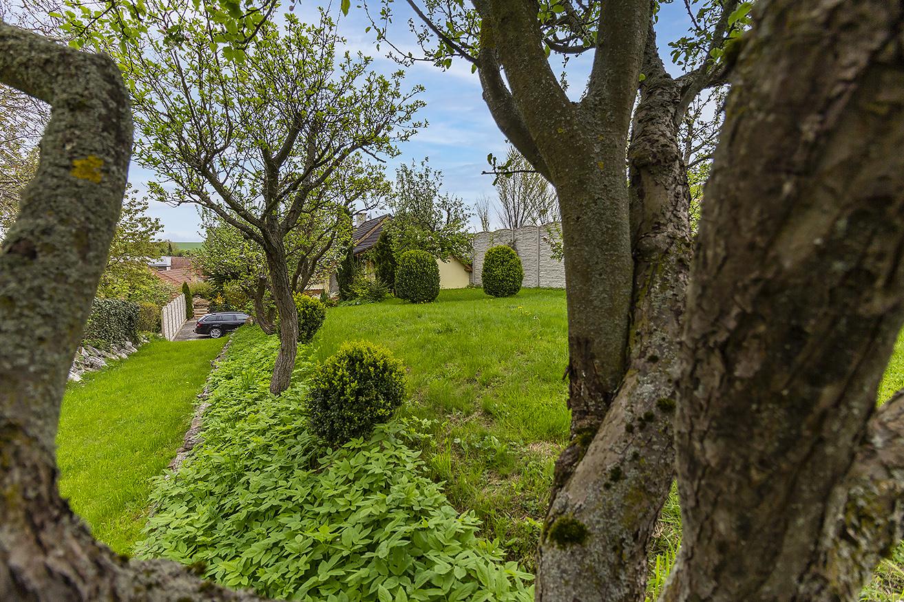 Apartmánový dům Vilémovice foto 4