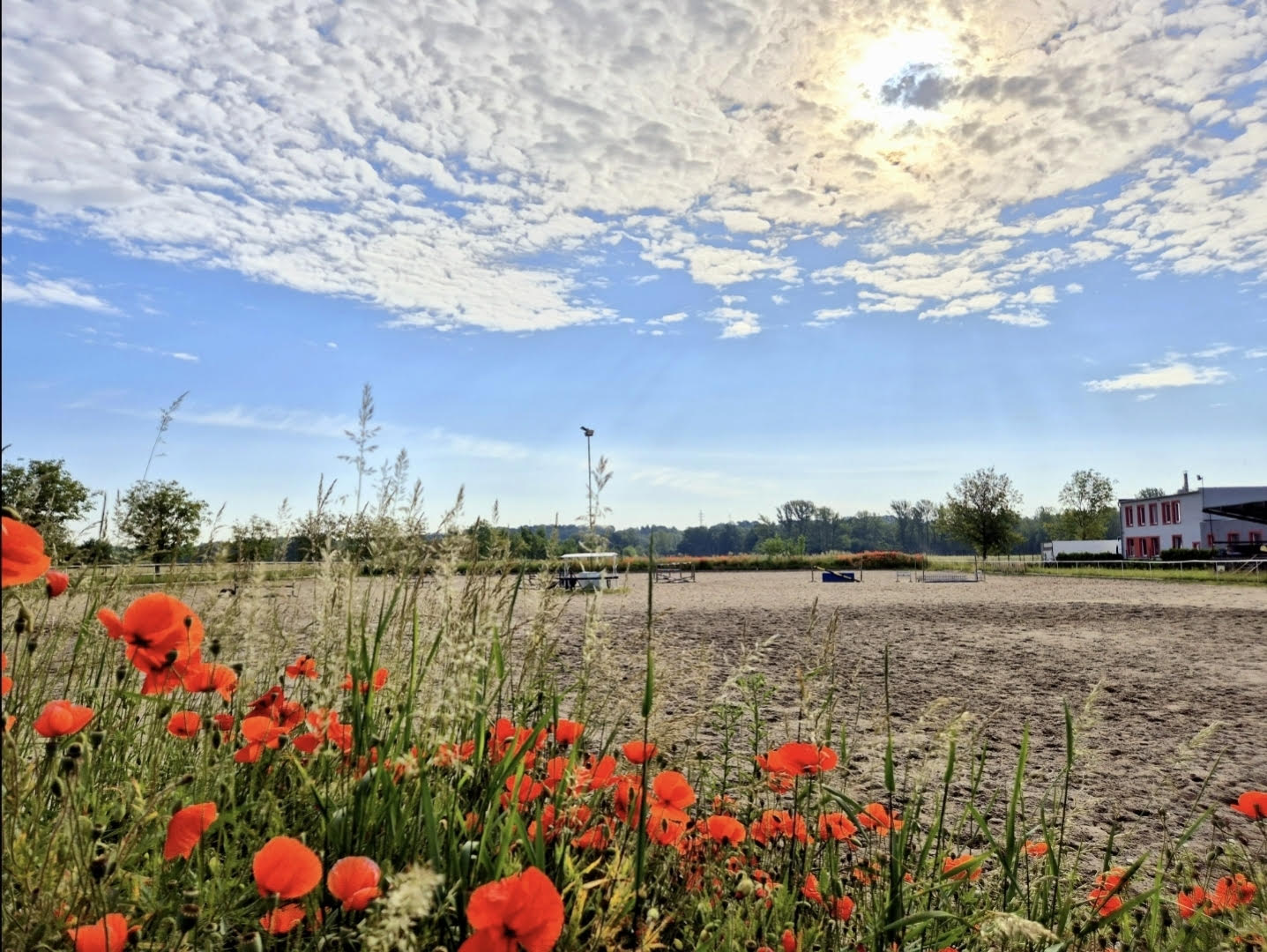 EQUICENTRUM, spol. s r.o. foto 2