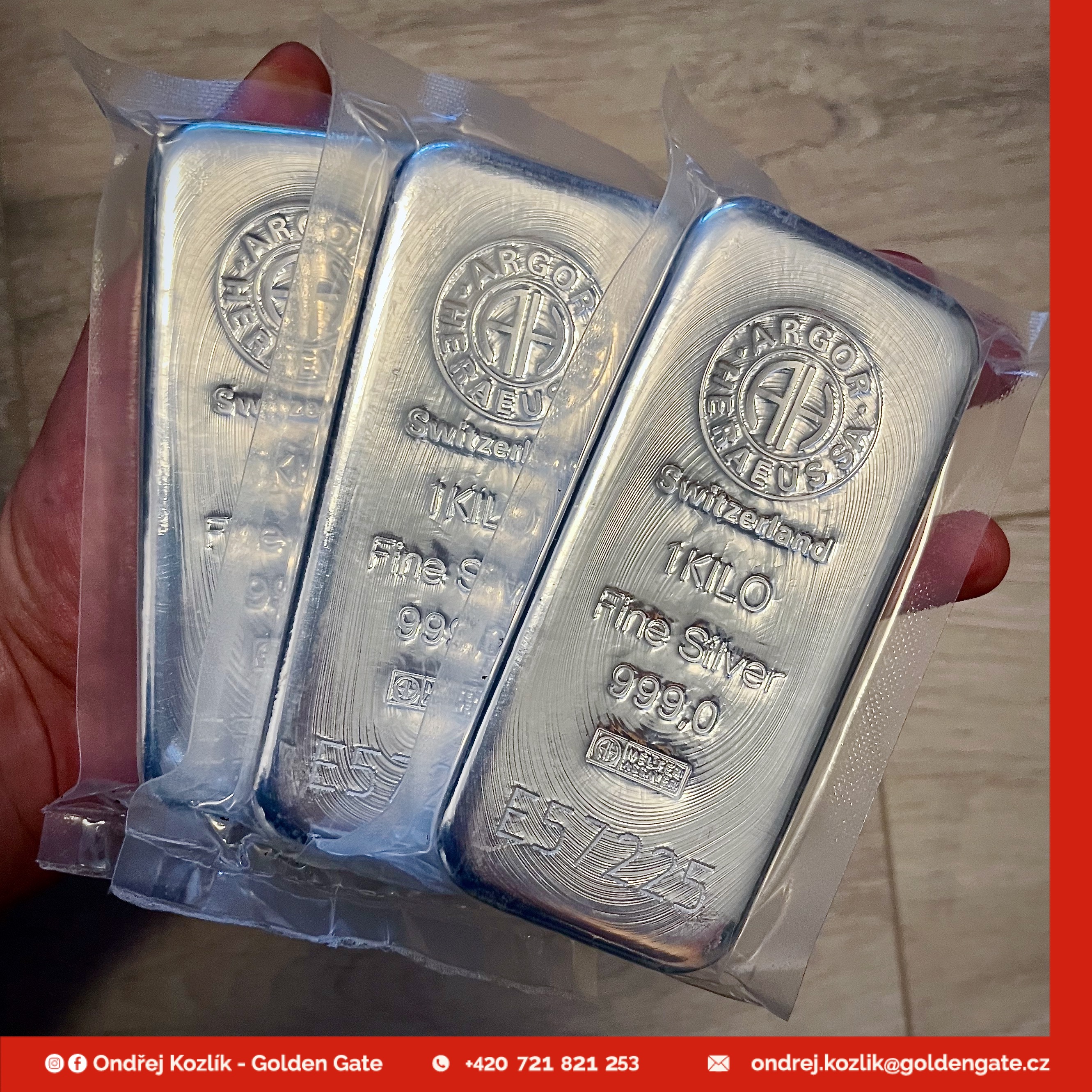 Mgr. Ondřej Kozlík - Golden Gate foto 3