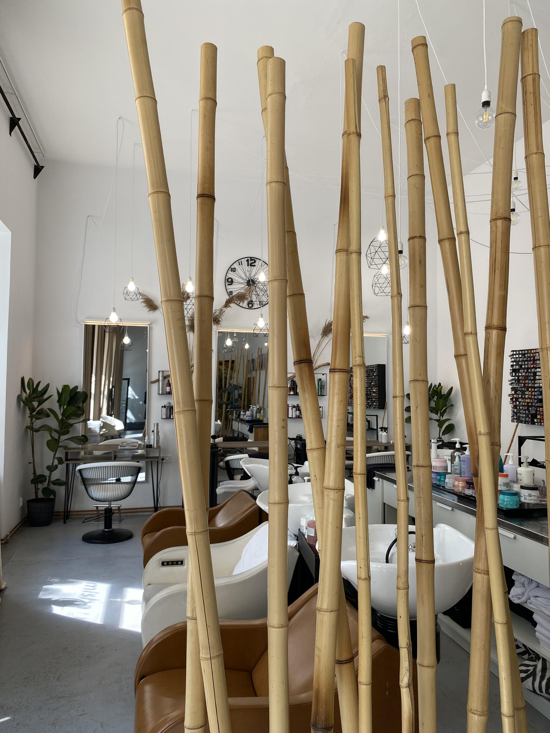 Misha I hair studio foto 3