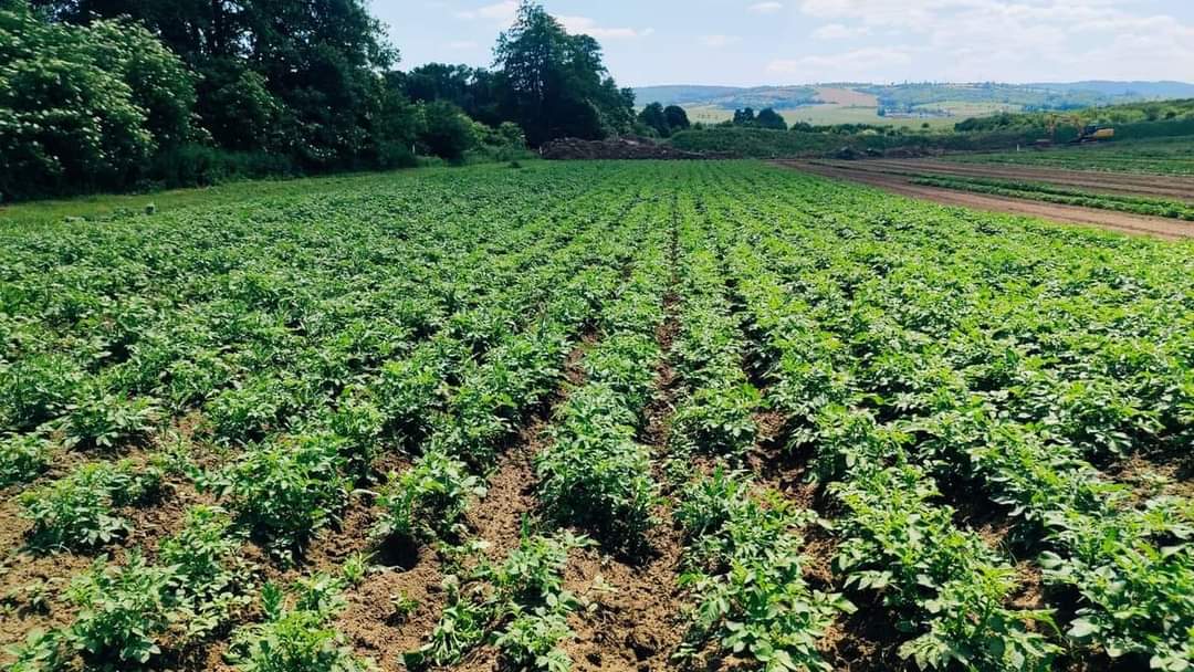 Moštárna a Bio Farma Nětčice foto 3