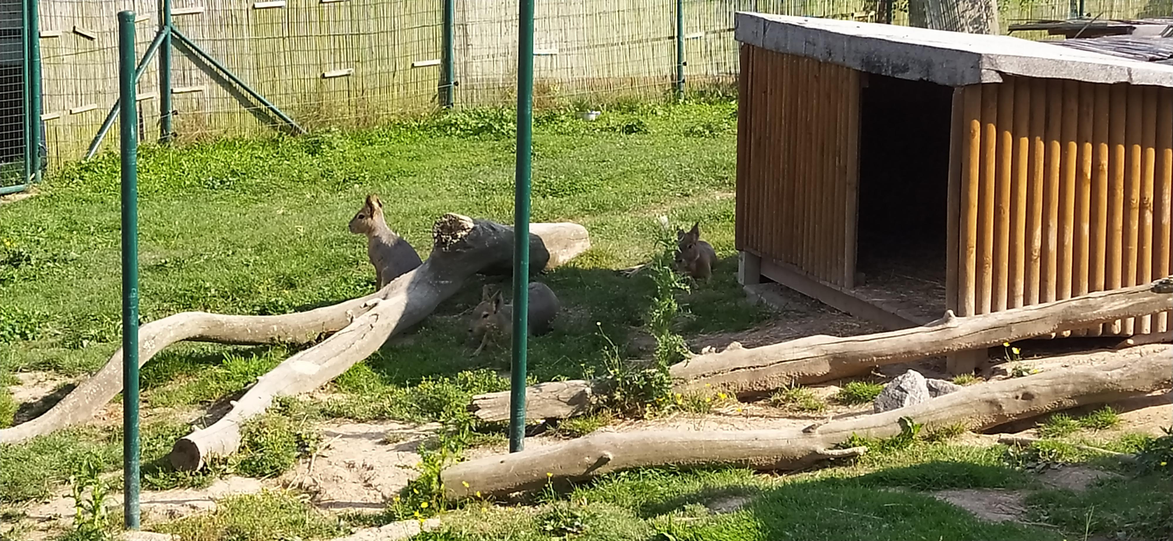 Zoologická zahrada Tábor - Suvenýry foto 3