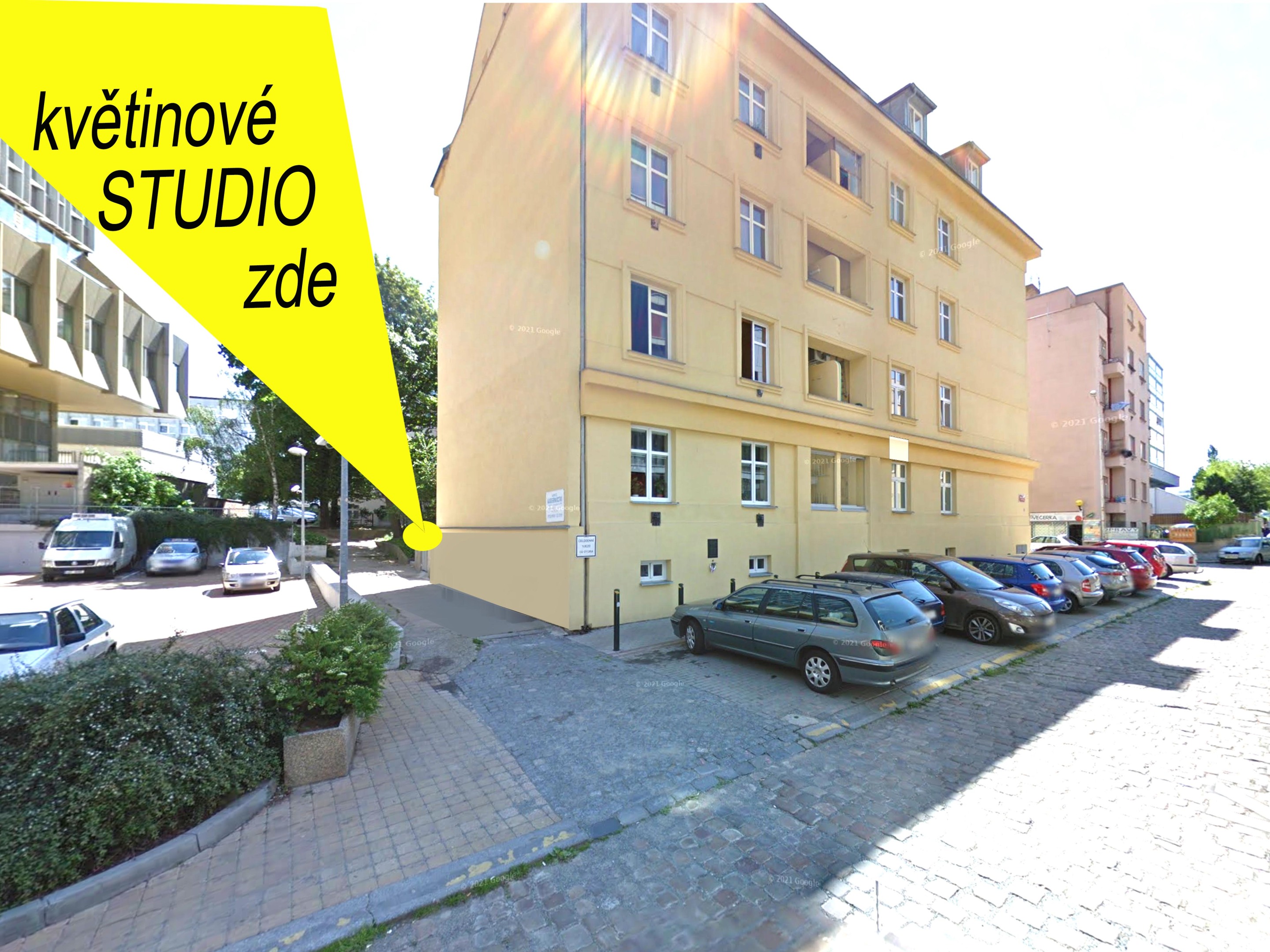 KVĚTINY DNES.cz foto 5