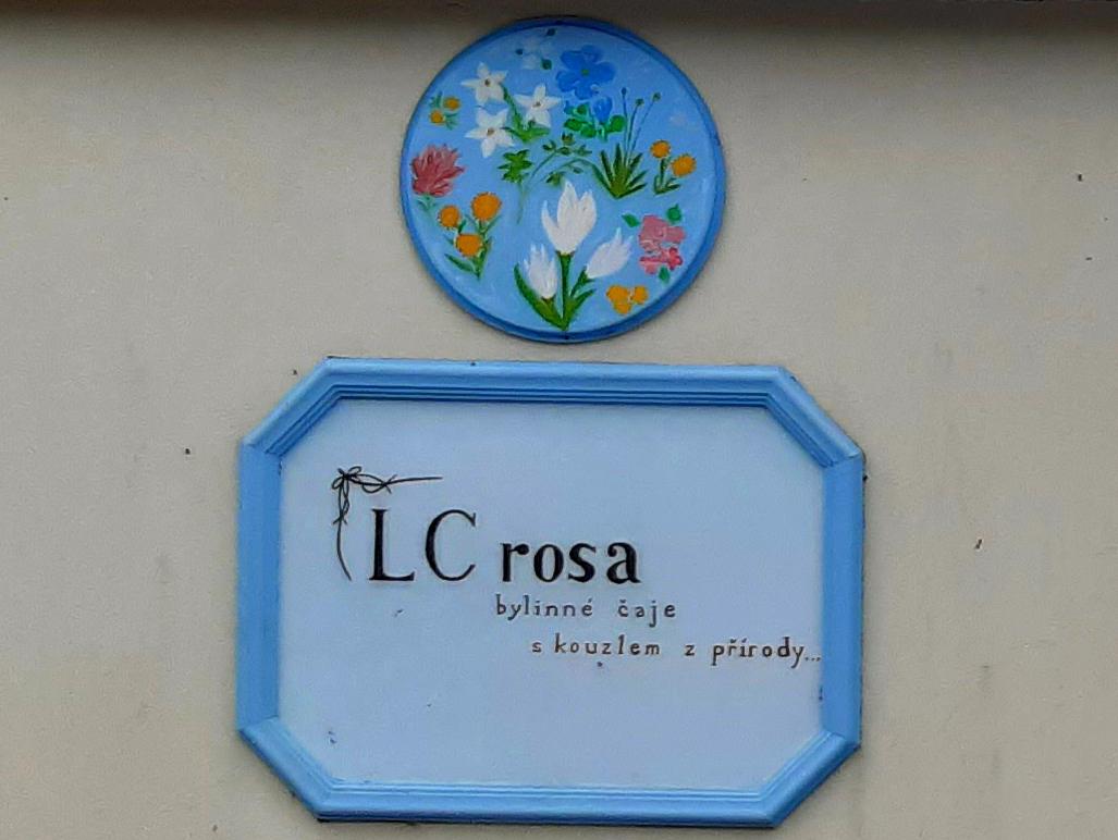 Valerie Pelikánová - LC Rosa foto 3