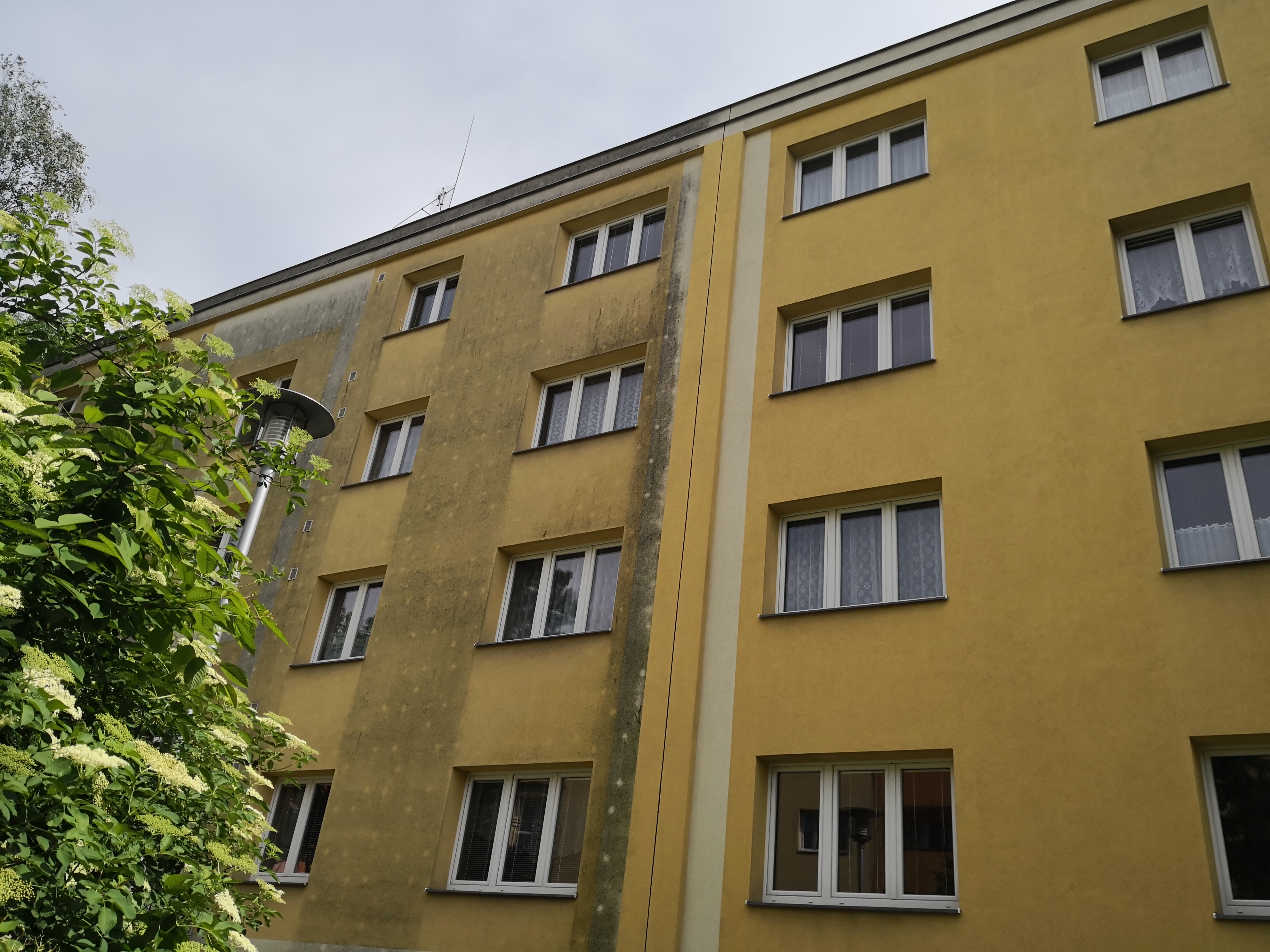 Zahnaš s.r.o. - čištění a nátěry foto 3