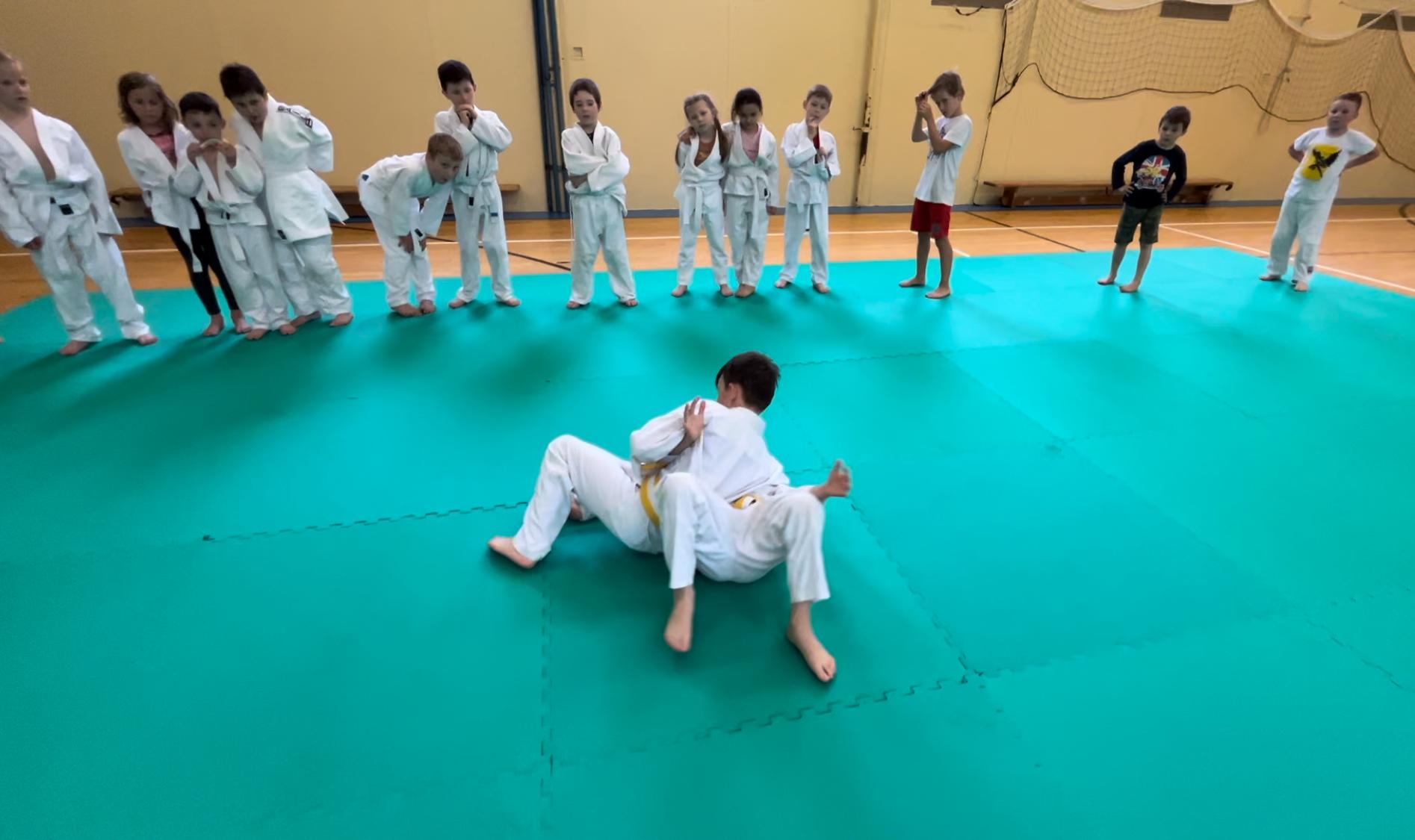 Judo Best Motion foto 3