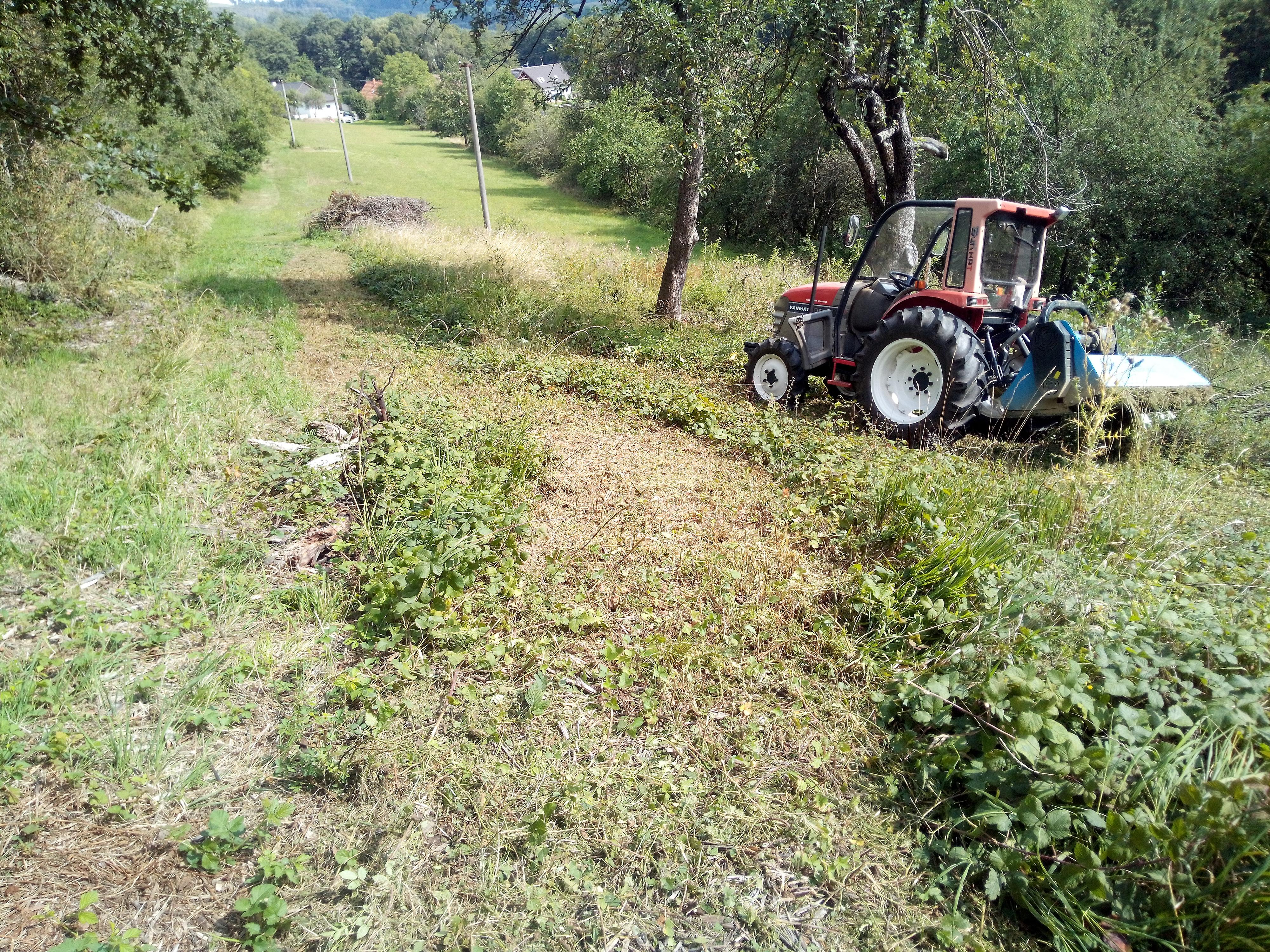 Údržba zeleně-Šemík-Service foto 3