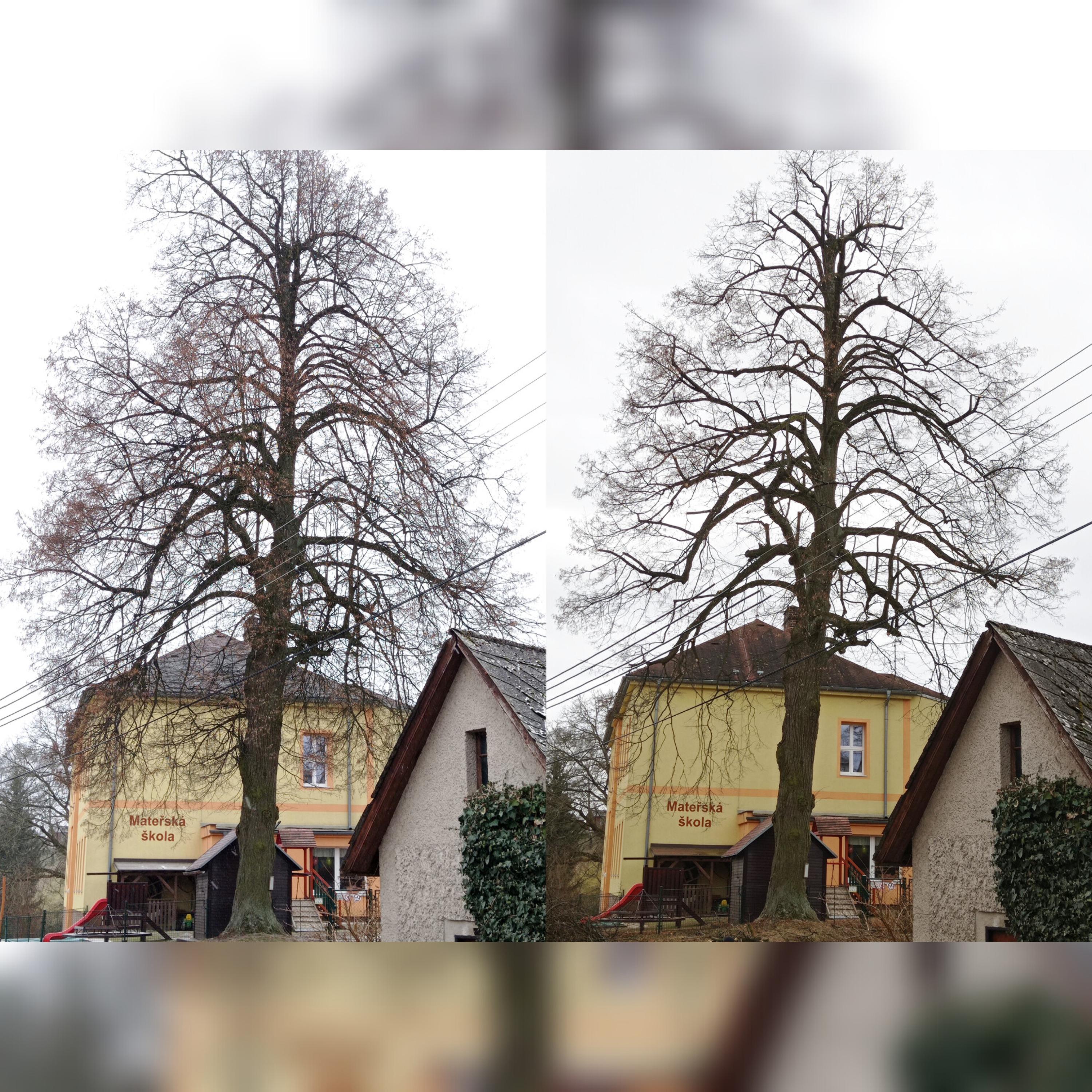 OKzeleň foto 4