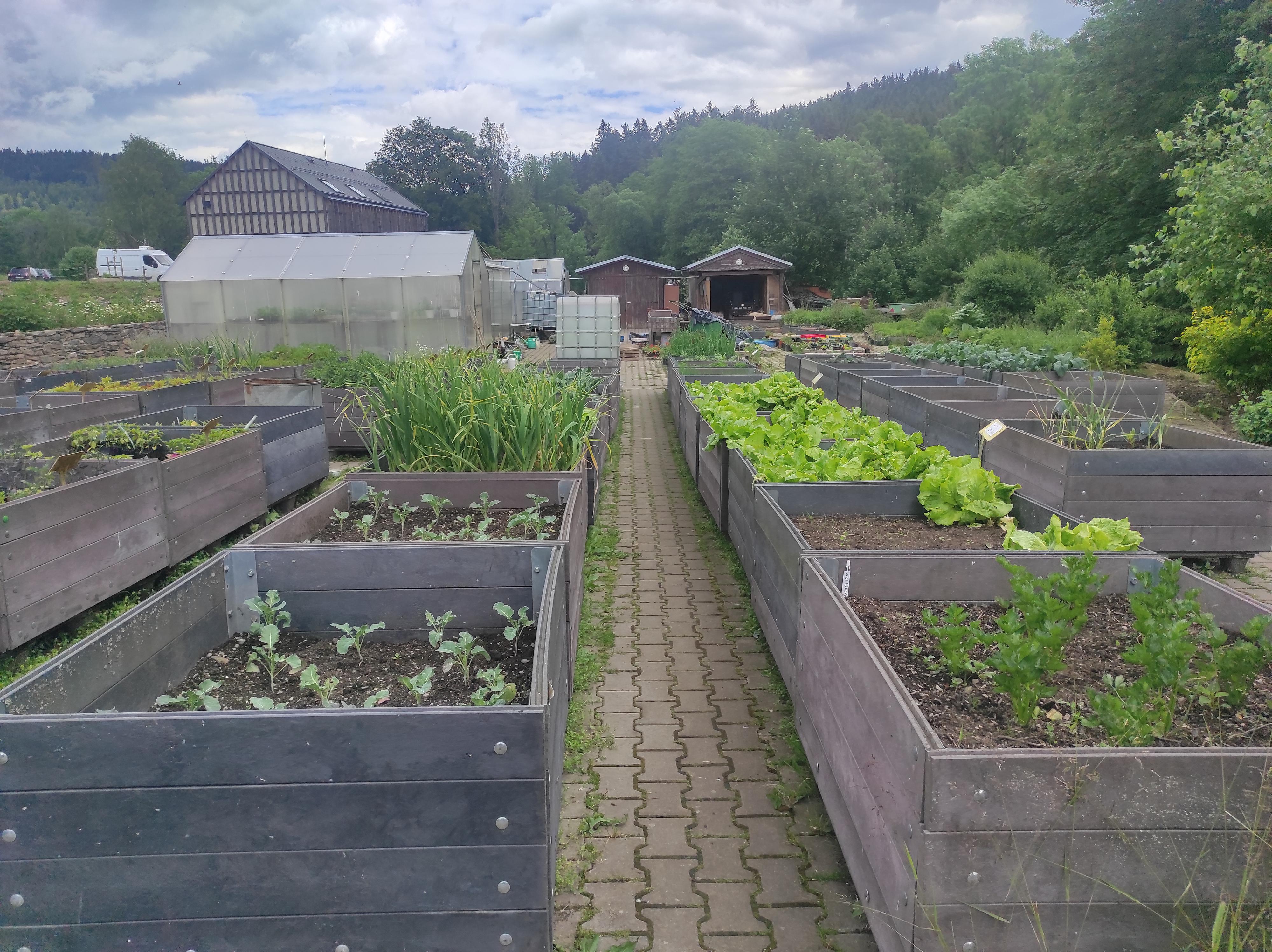 Zahradnictví - samoobslužný prodej foto 2