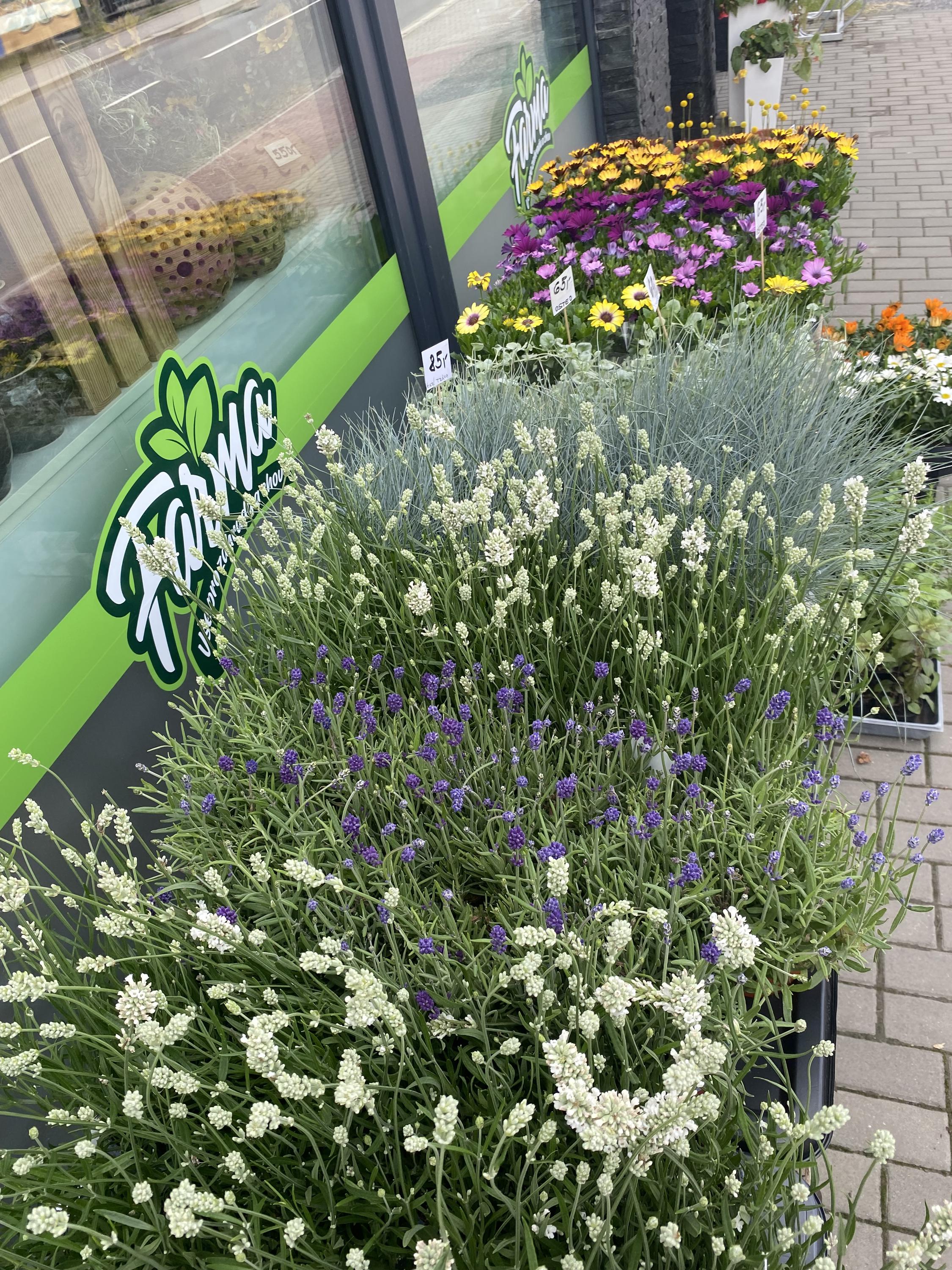 Farma vše pro zahradu a chov foto 6