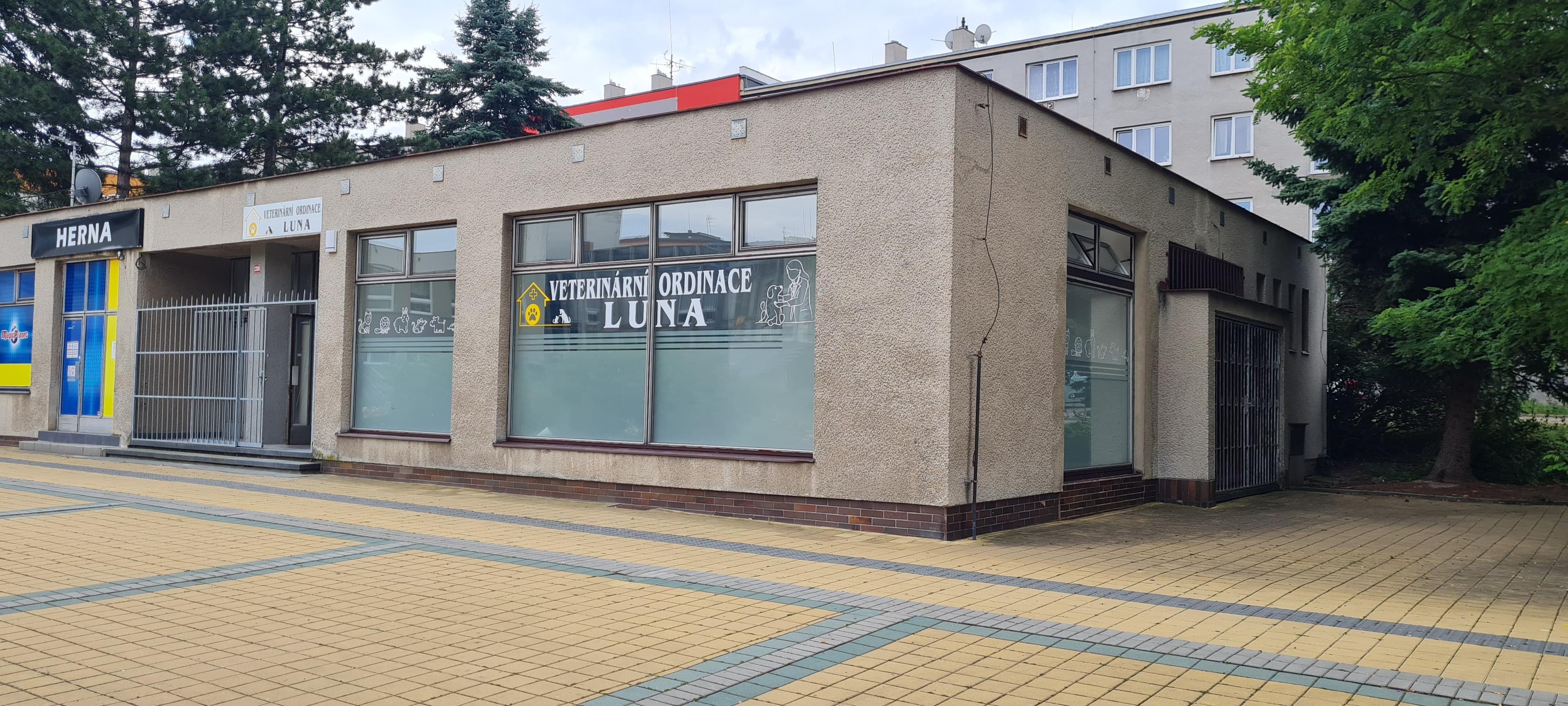 Veterinární ordinace LUNA foto 6