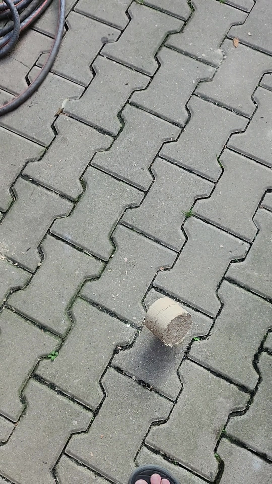 Sabivena, s.r.o. foto 2 (náhled videa)