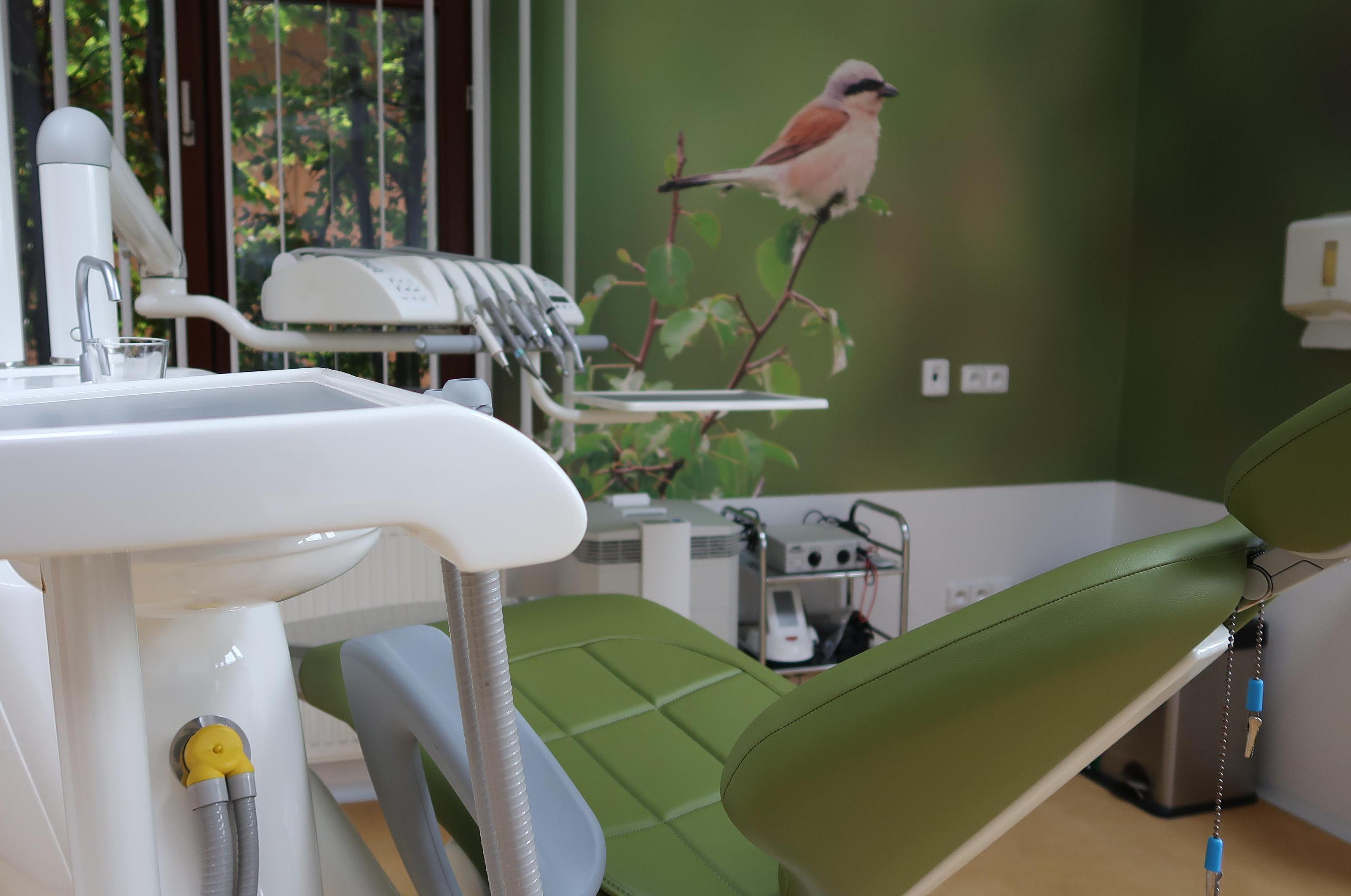 Zubní ordinace Olga Petrová foto 1