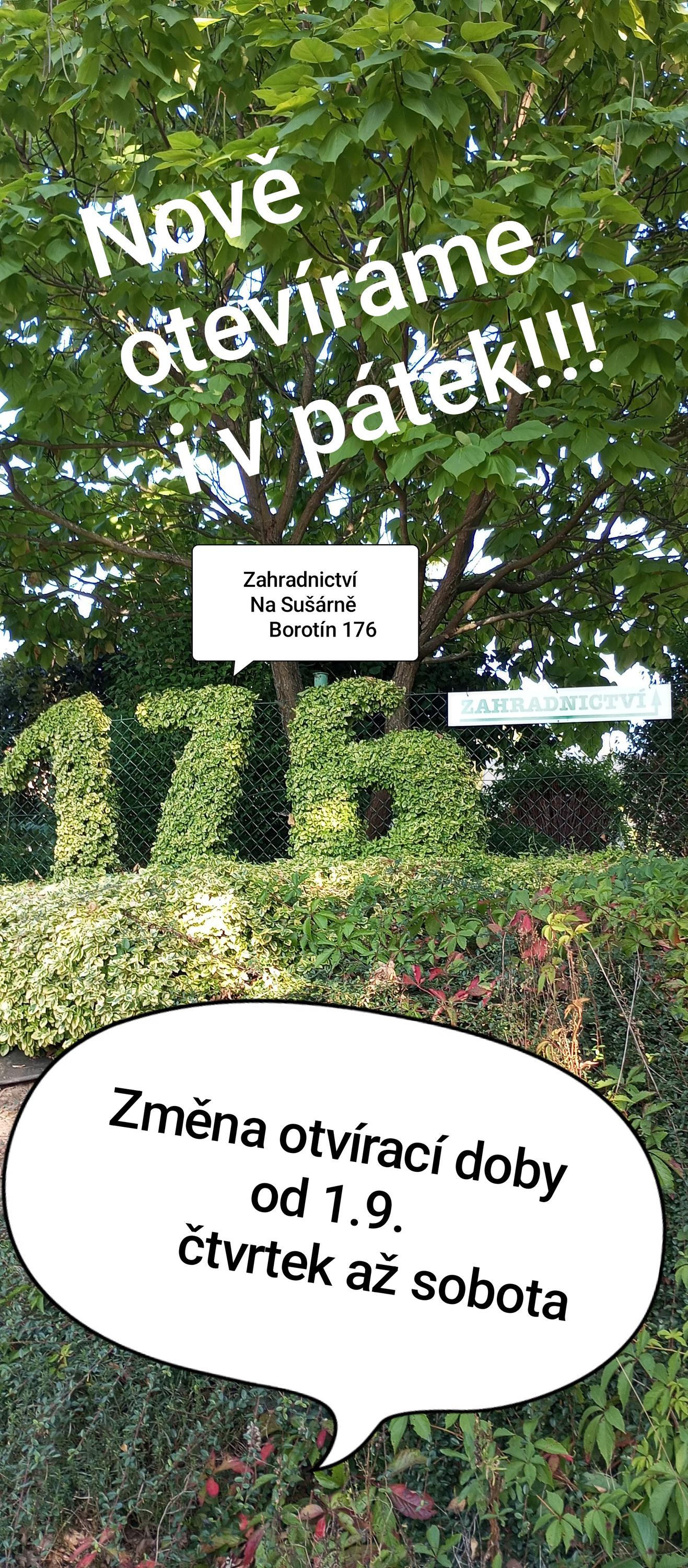 Zahradnictví Na Sušárně foto 4