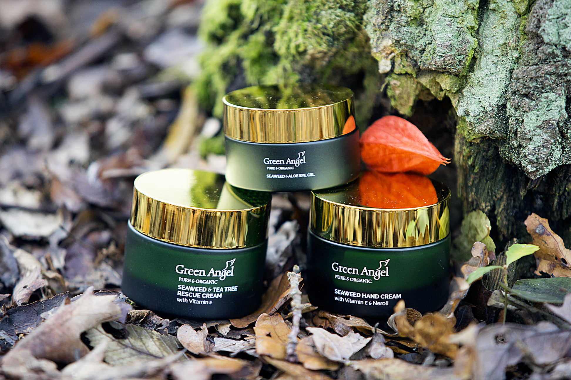 Green Angel.cz foto 2