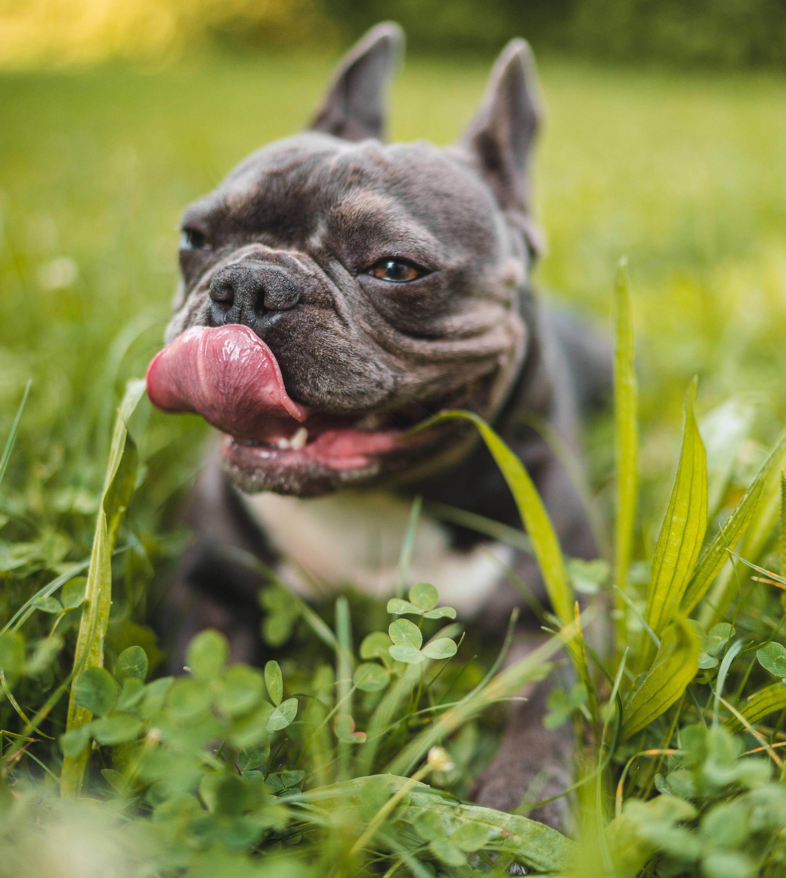 Grygerek Photography foto 3