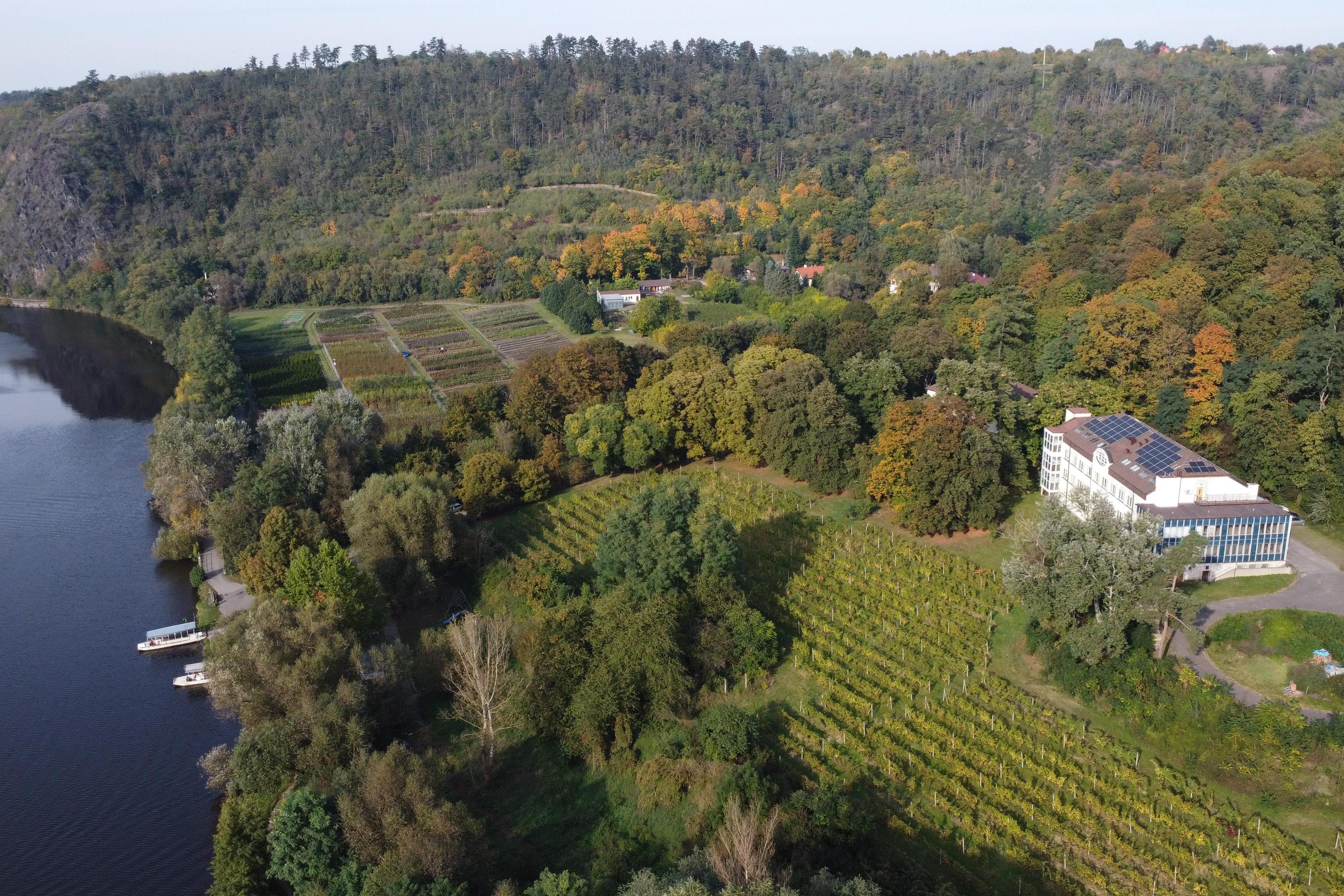 Výzkumný ústav včelařský, s.r.o.