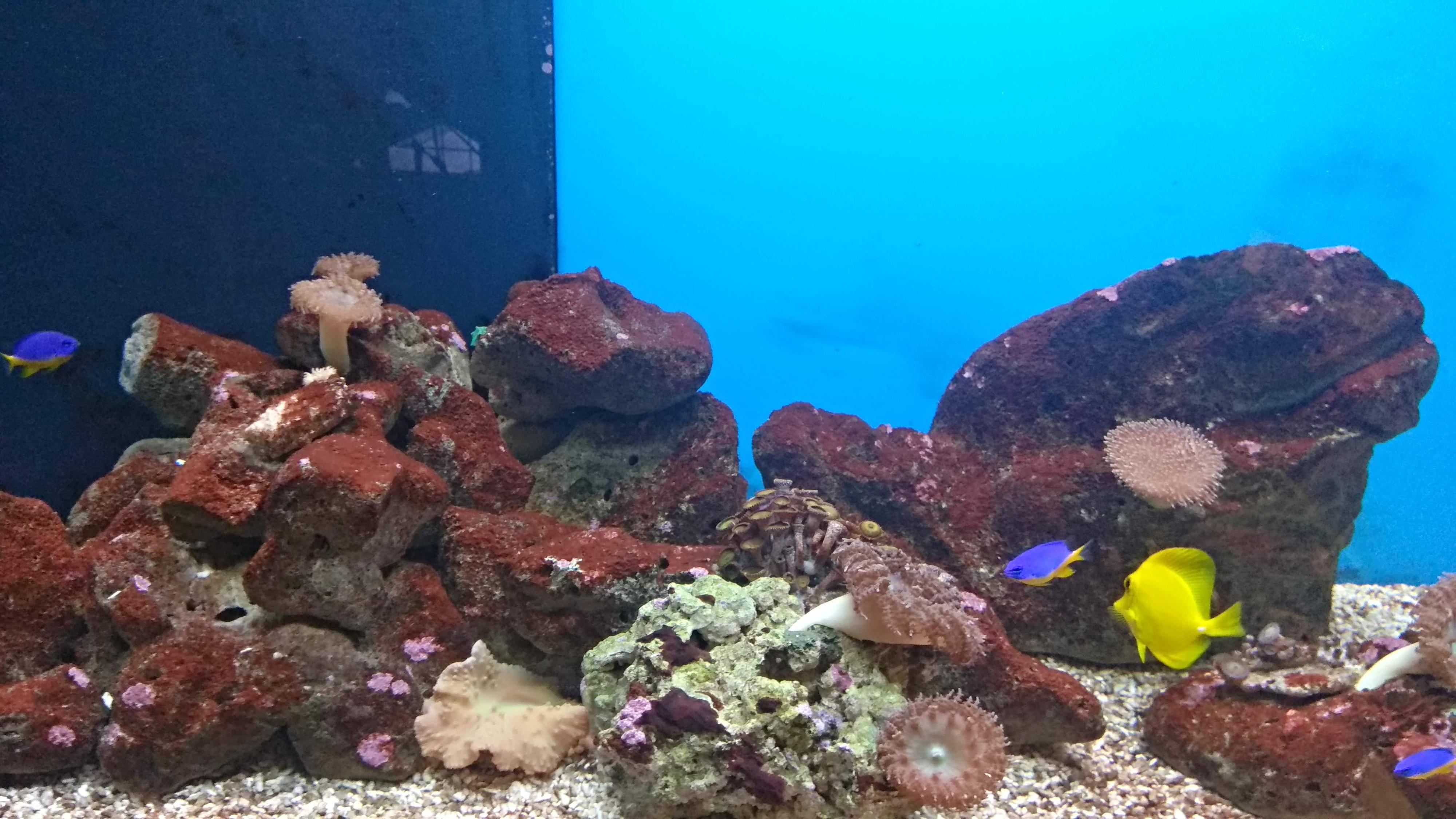 ZOOSHOP Želvička s.r.o. foto 4