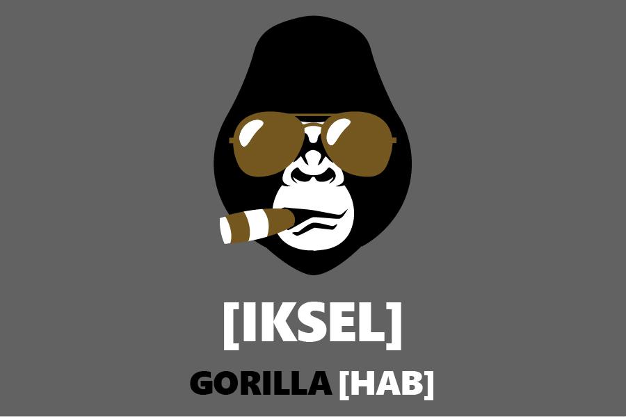 Jeden GORILLA HUB nestačí? Pak je potřeba [IKSEL]