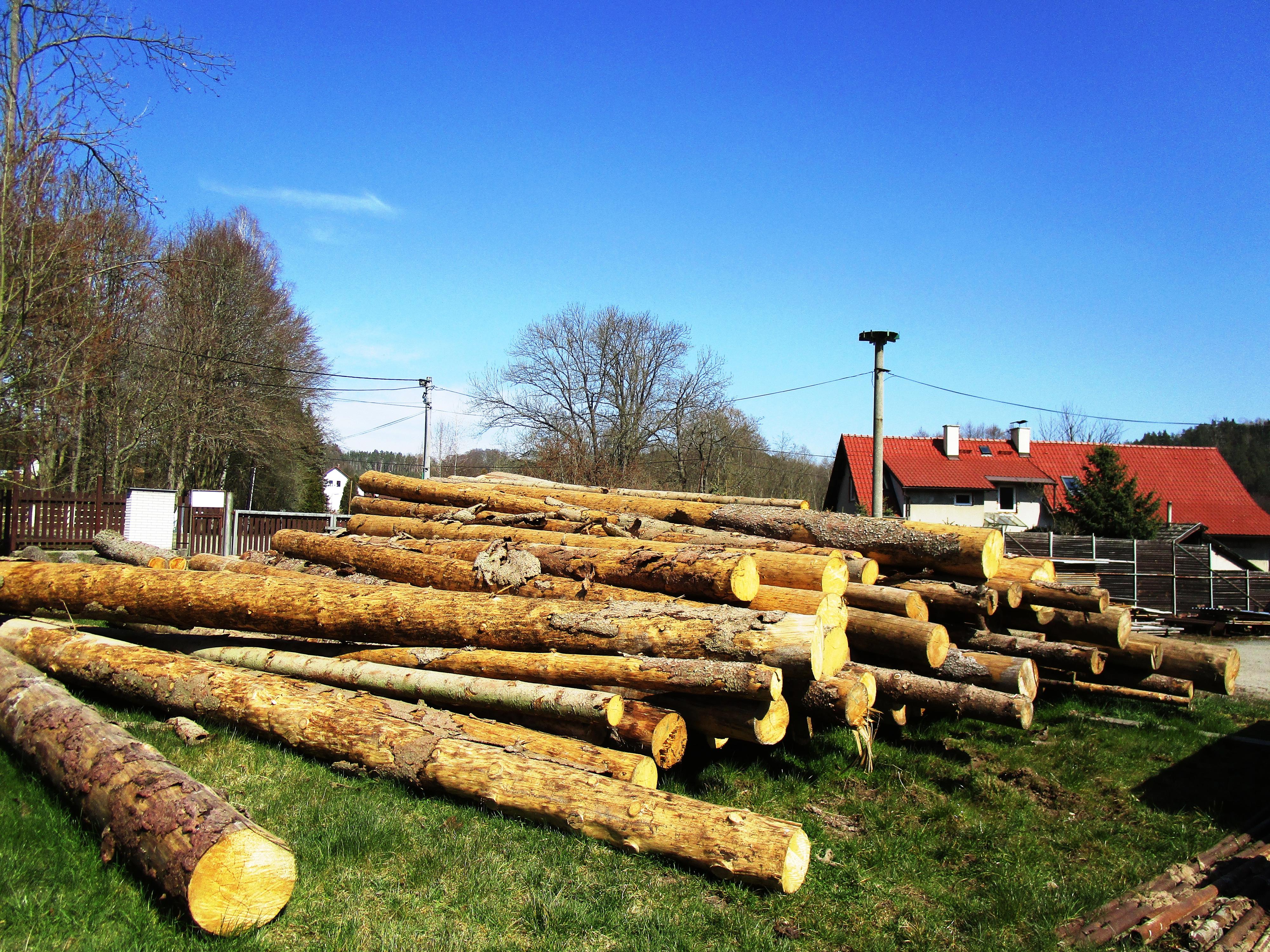 Pila Borovice - Vít Hýzler foto 2