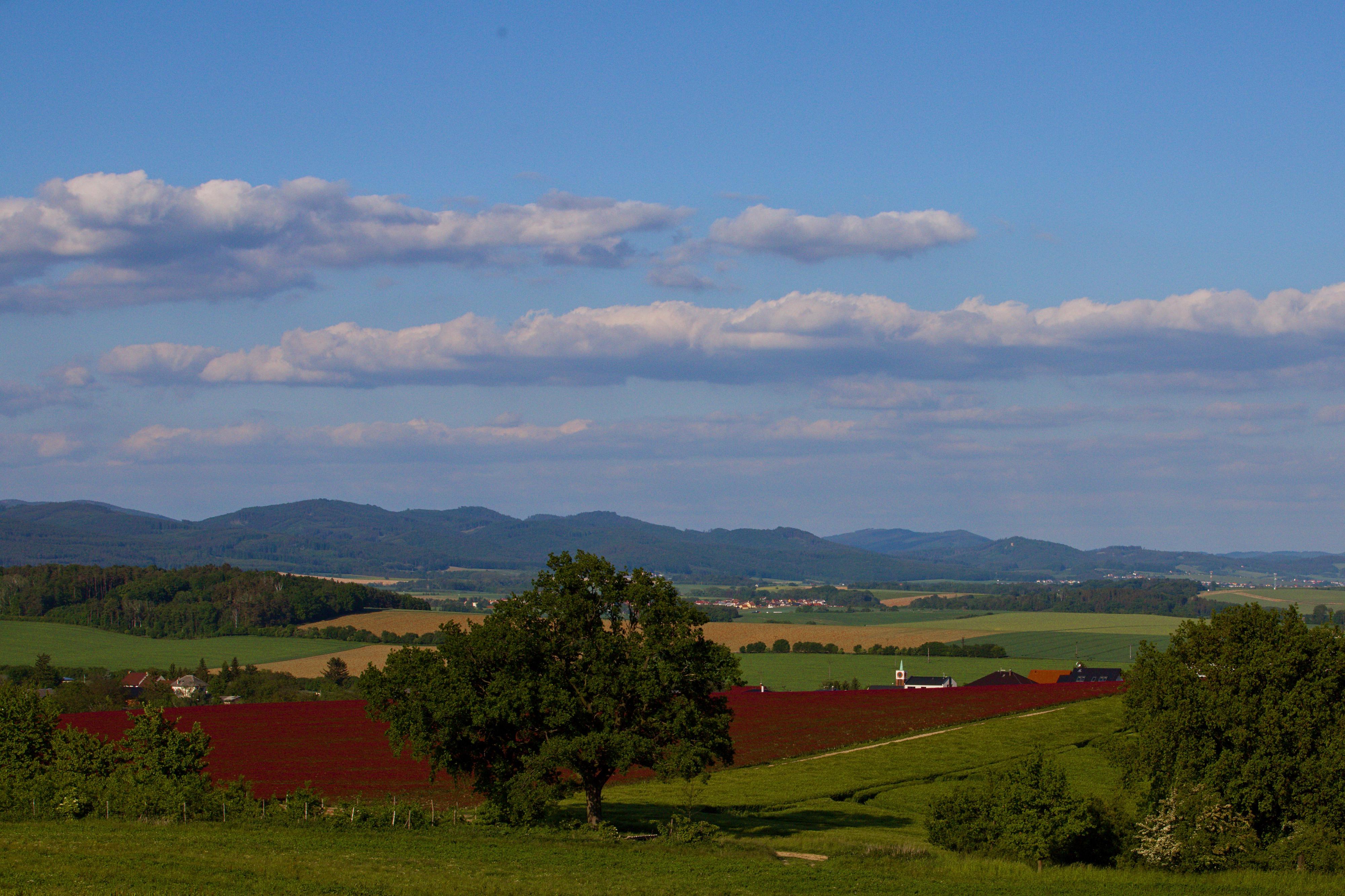 Míškovice - obecní úřad foto 2