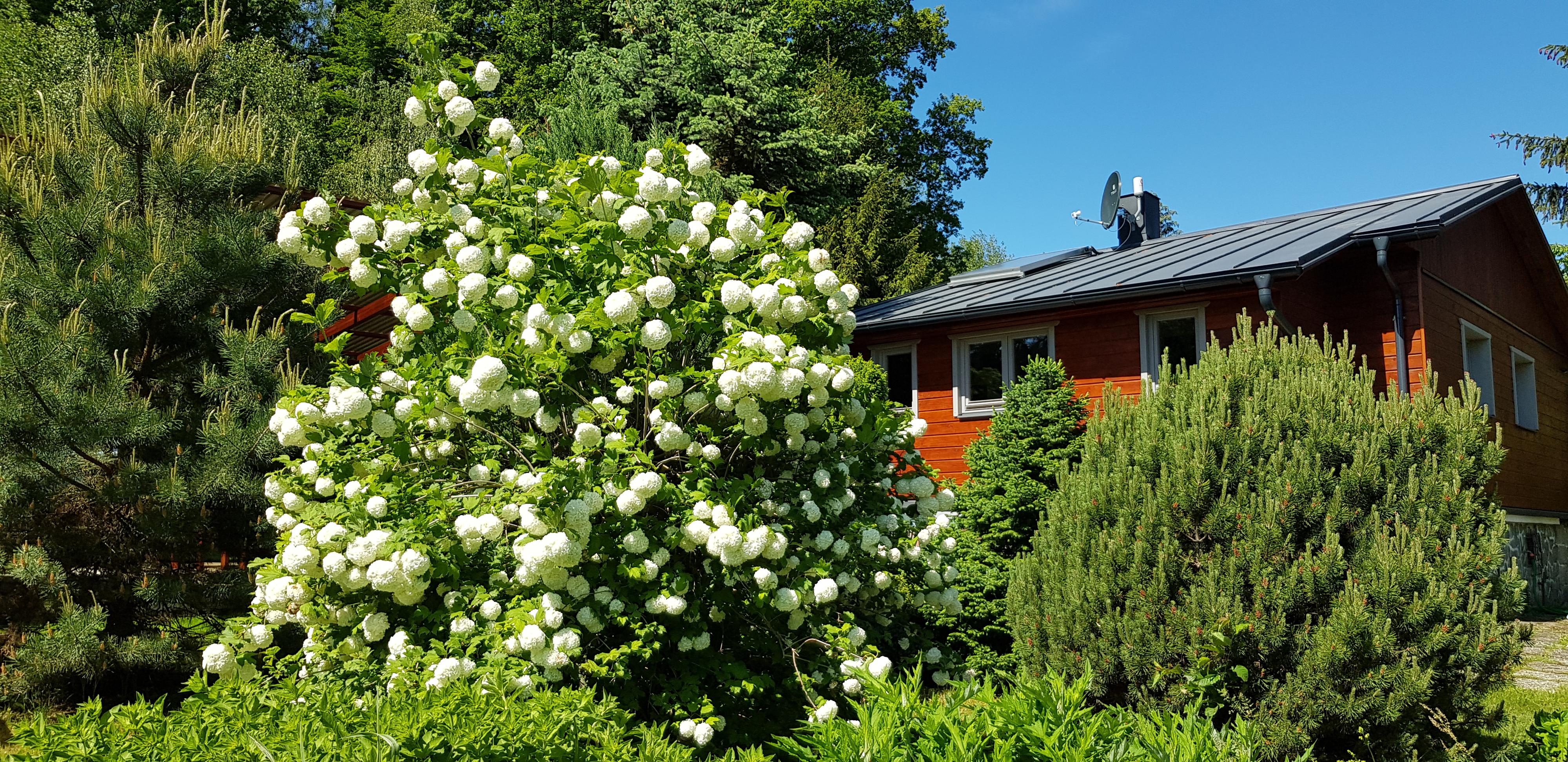 Penzion Spolunakole foto 3