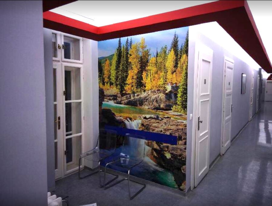 Canadian Medical - Palác YMCA foto 4