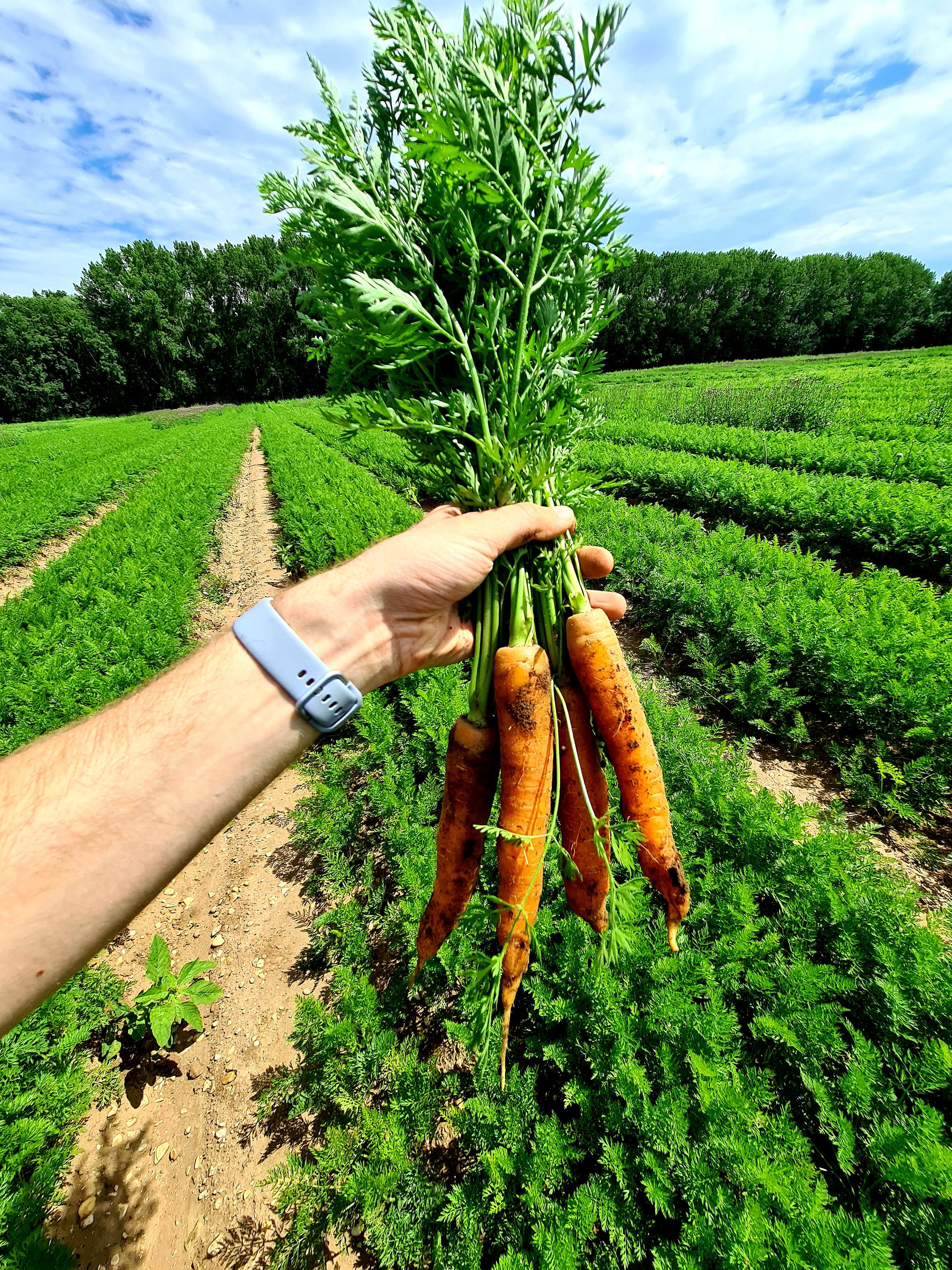 JUHAS DP s.r.o. foto 2