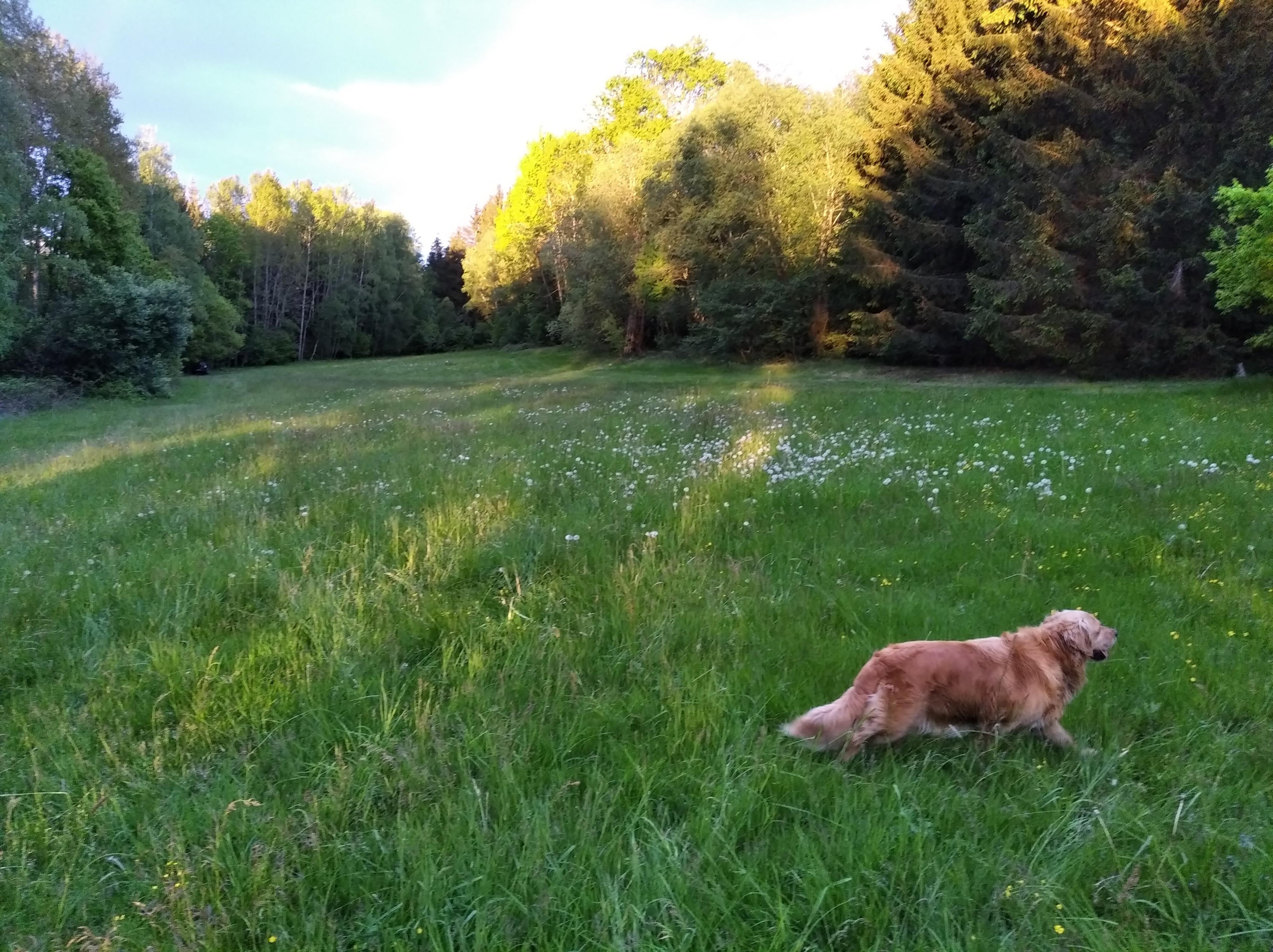 Skautská základna Líčov foto 2