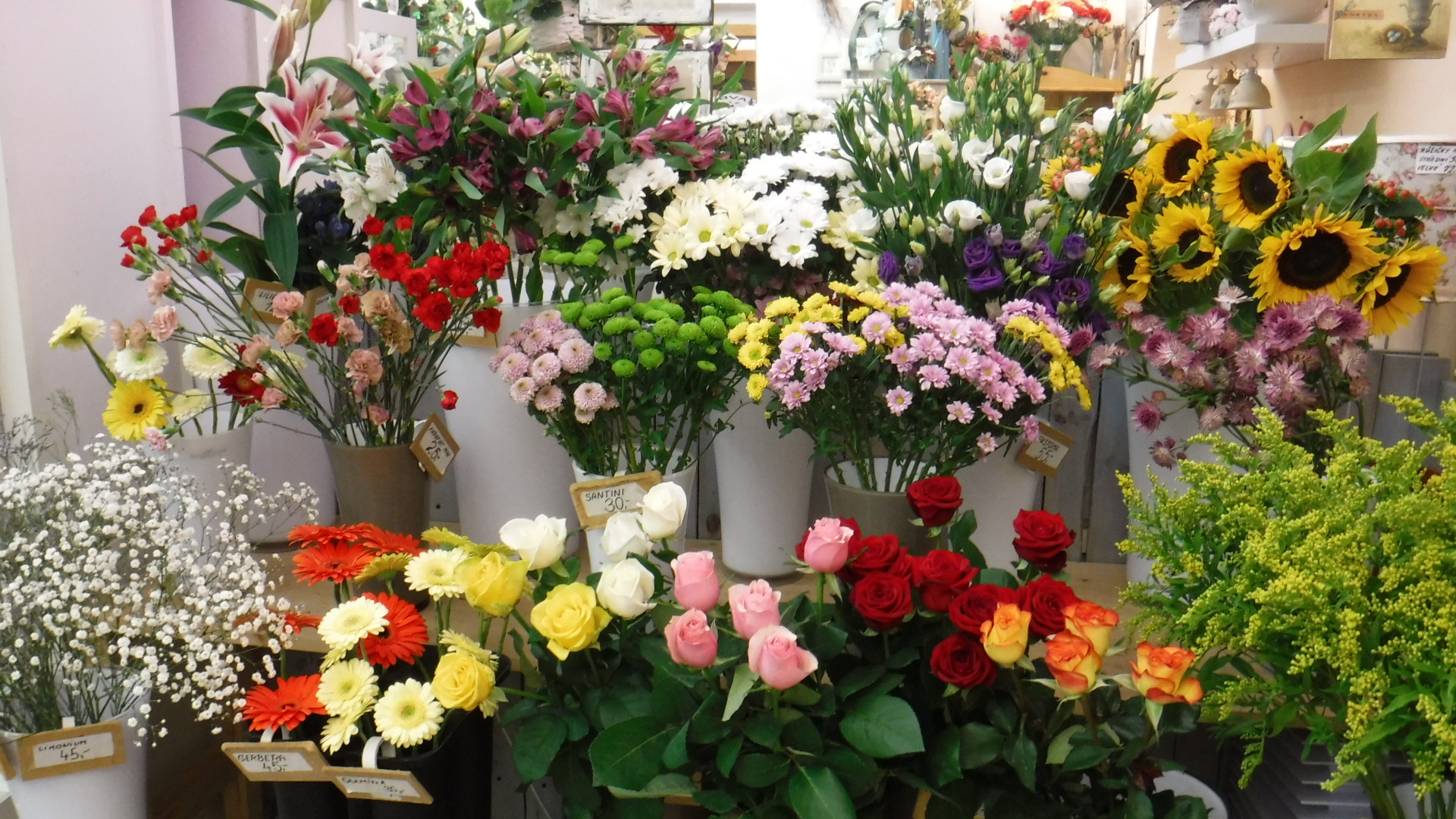 Květinářství Scarlet foto 3
