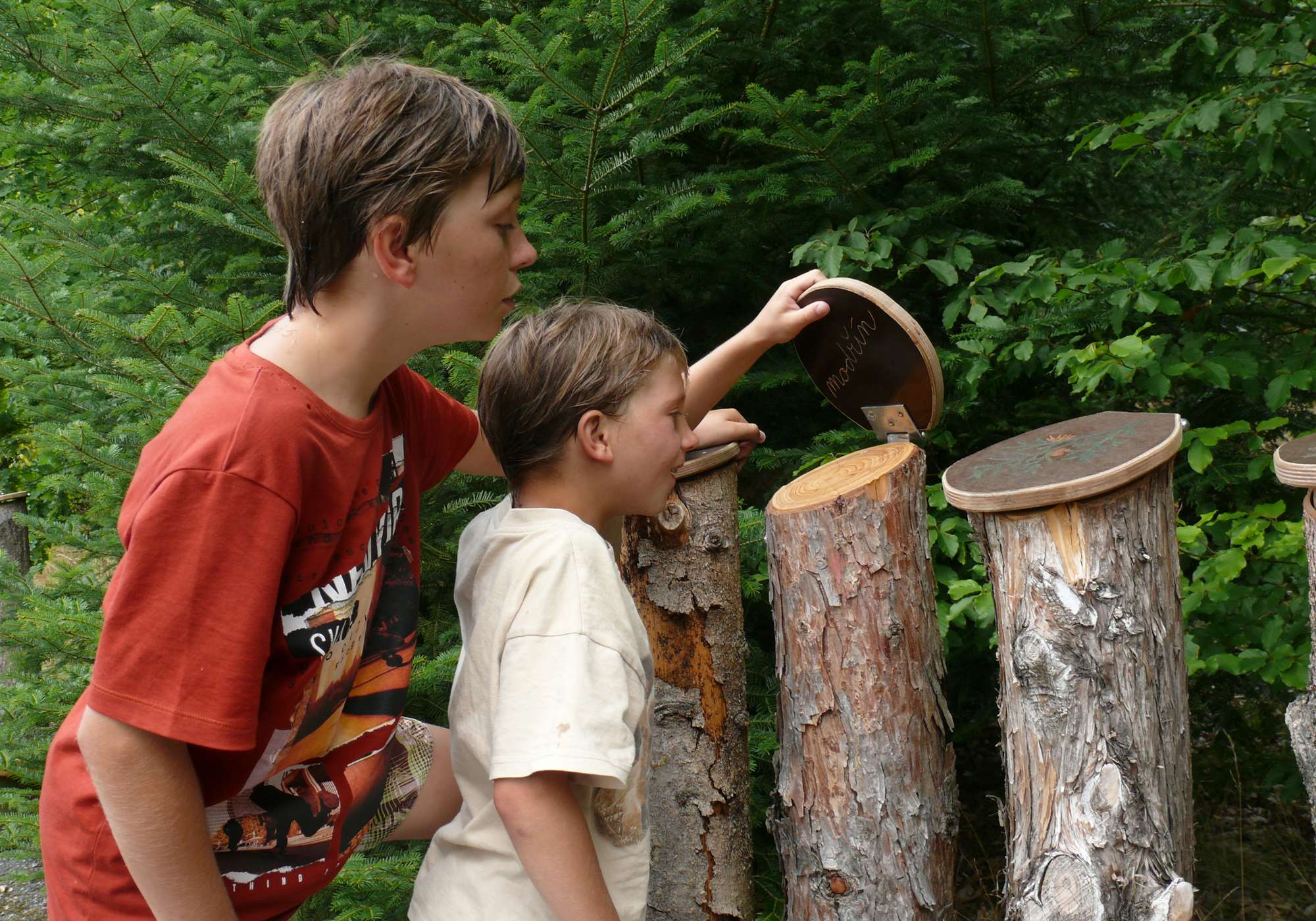 Přírodovědné muzeum Semenec foto 4