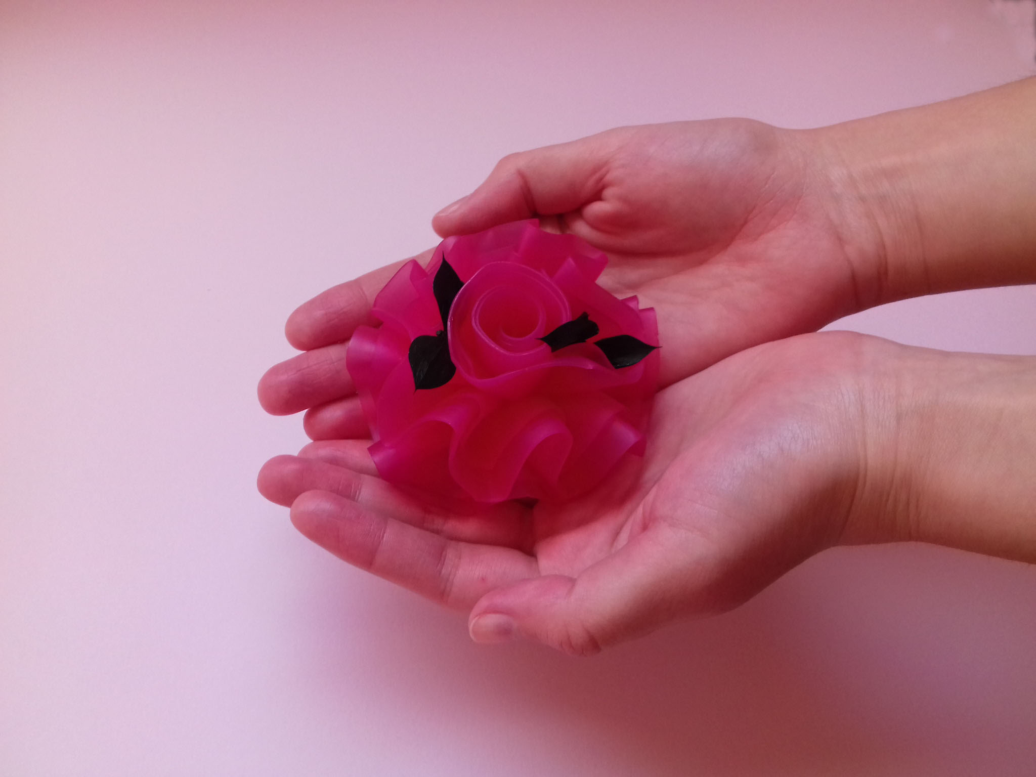 Biomydlinka.cz foto 2