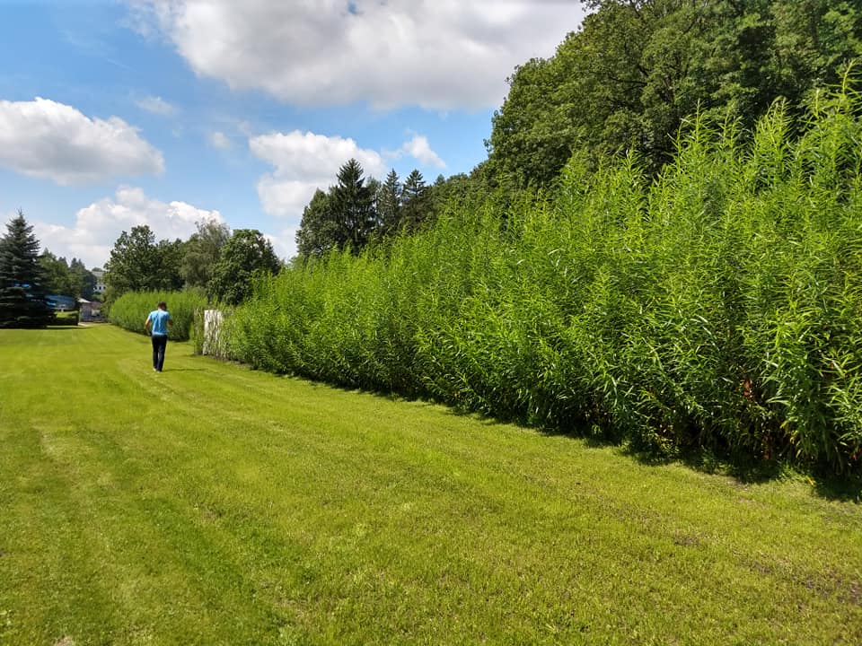 Vrbostavby.cz foto 2