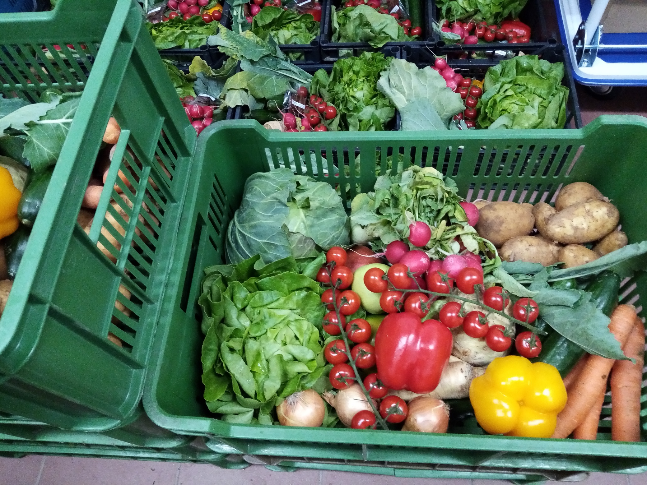 Ovoce a zelenina u Věry foto 2