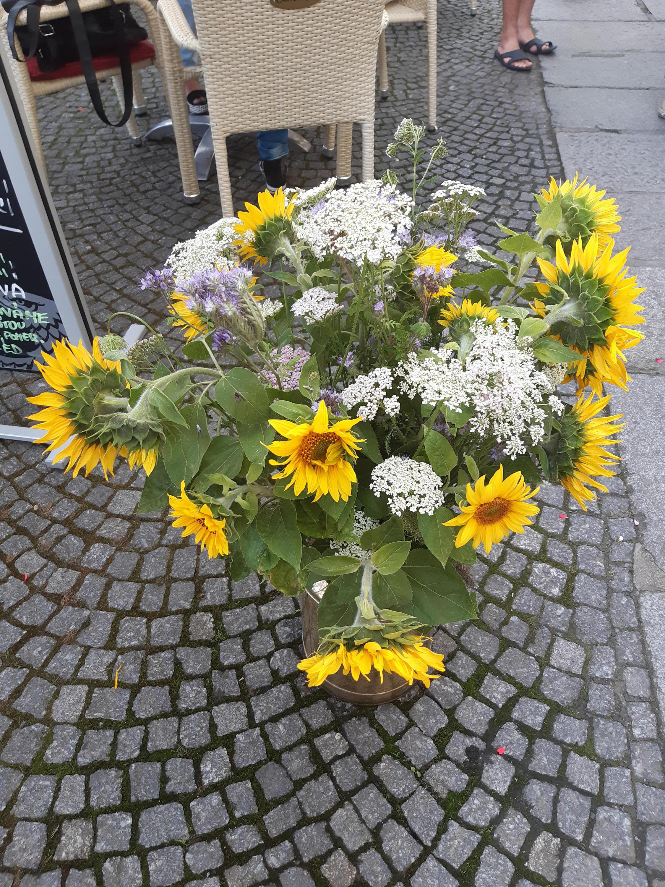 Cukrárna Segafredo-city foto 2