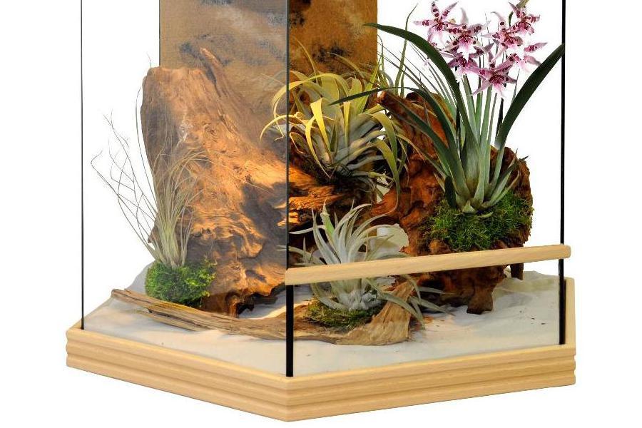 Terárium s výbavou