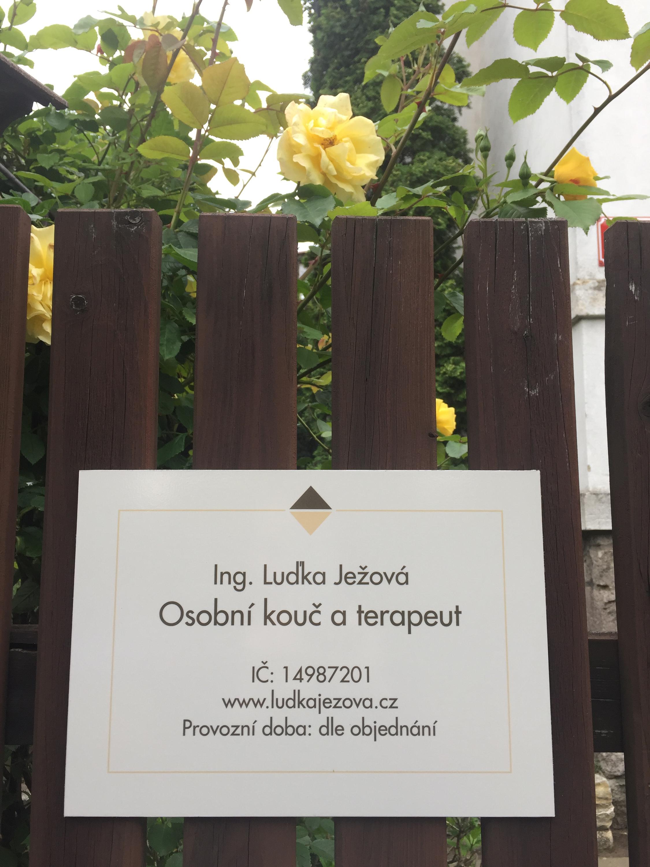 Ing. Luďka Ježová - osobní kouč a terapeut foto 2