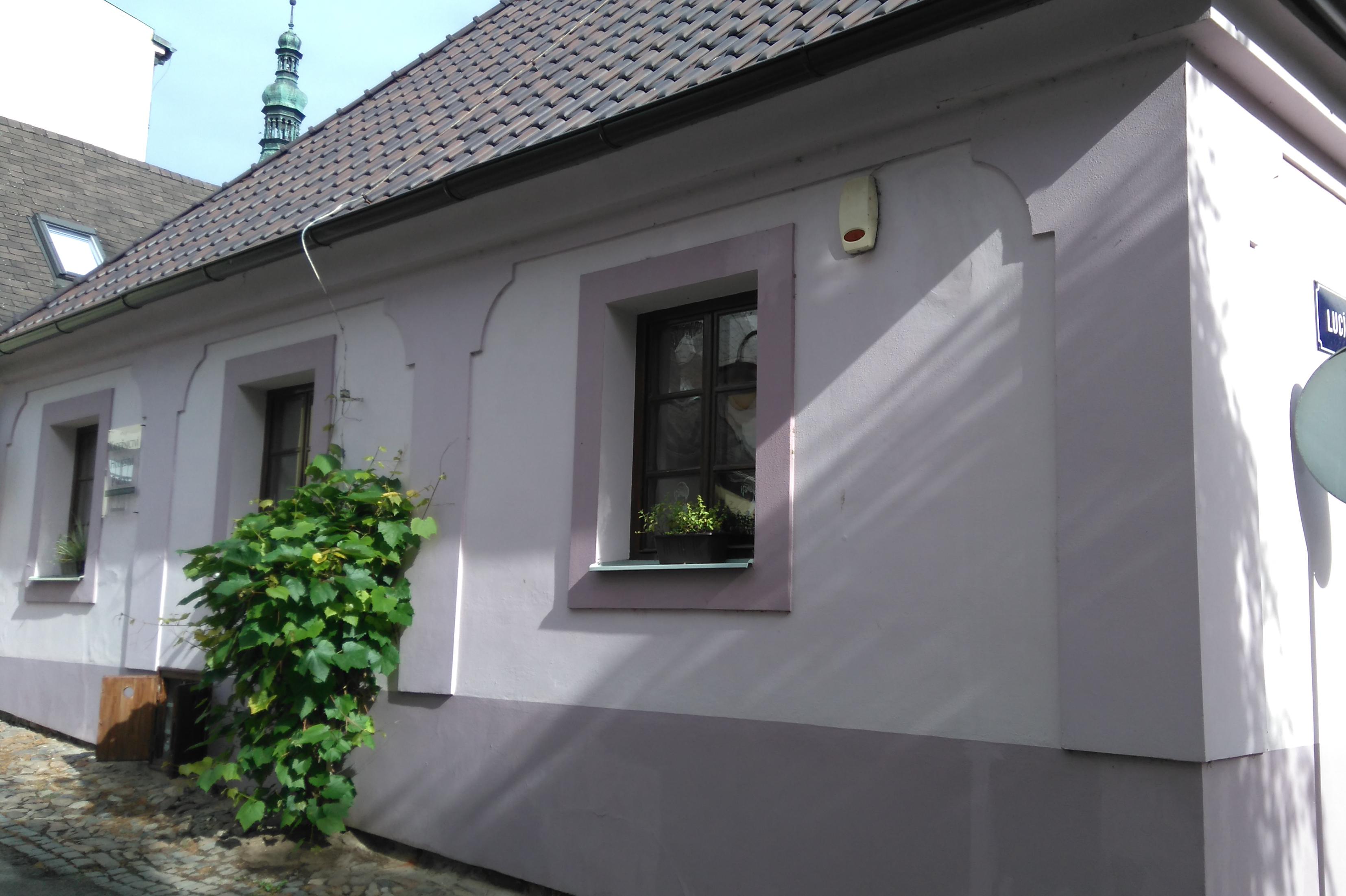 Masáže psů - Markéta Thielová