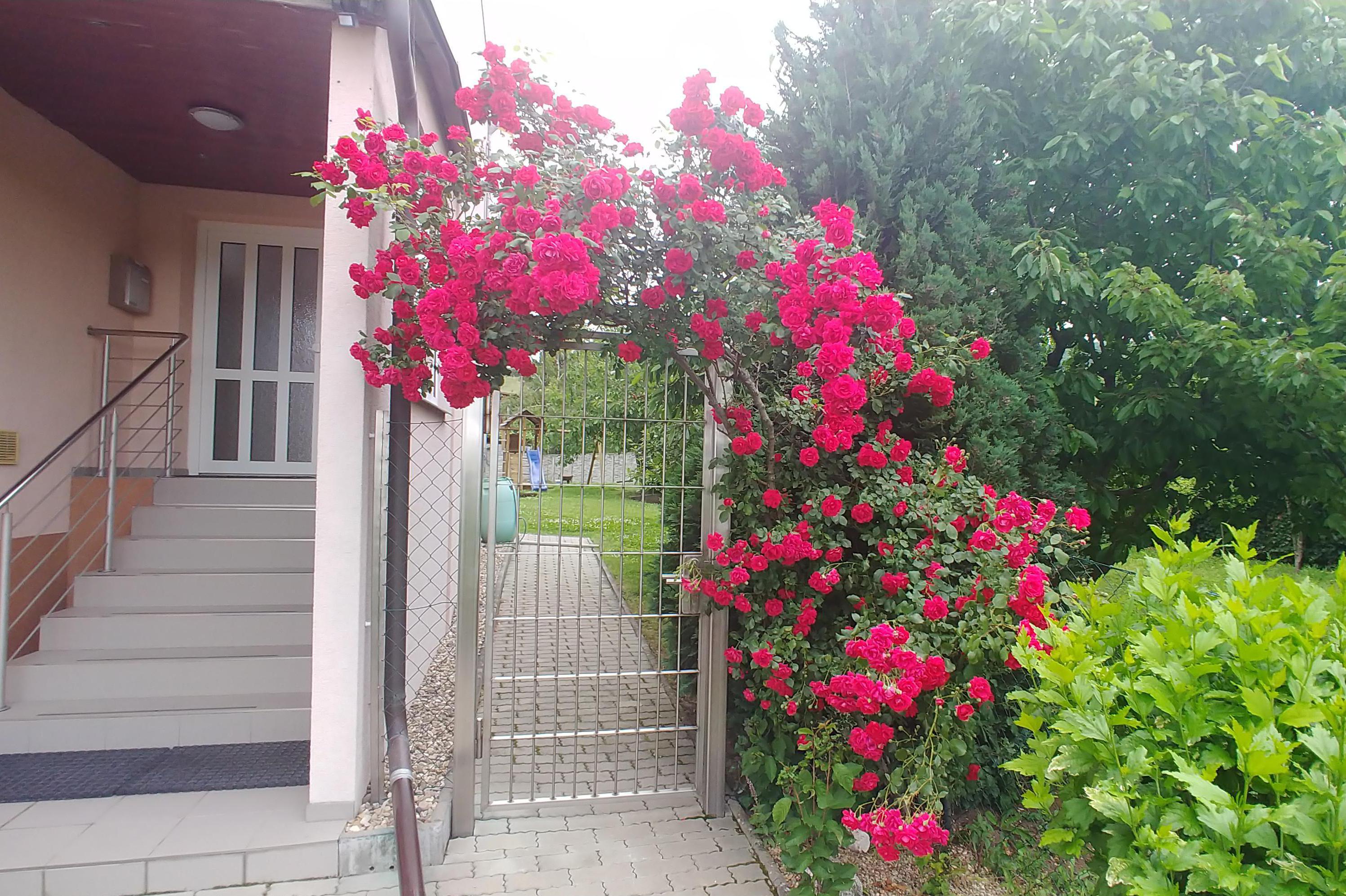 Ubytování Markéta