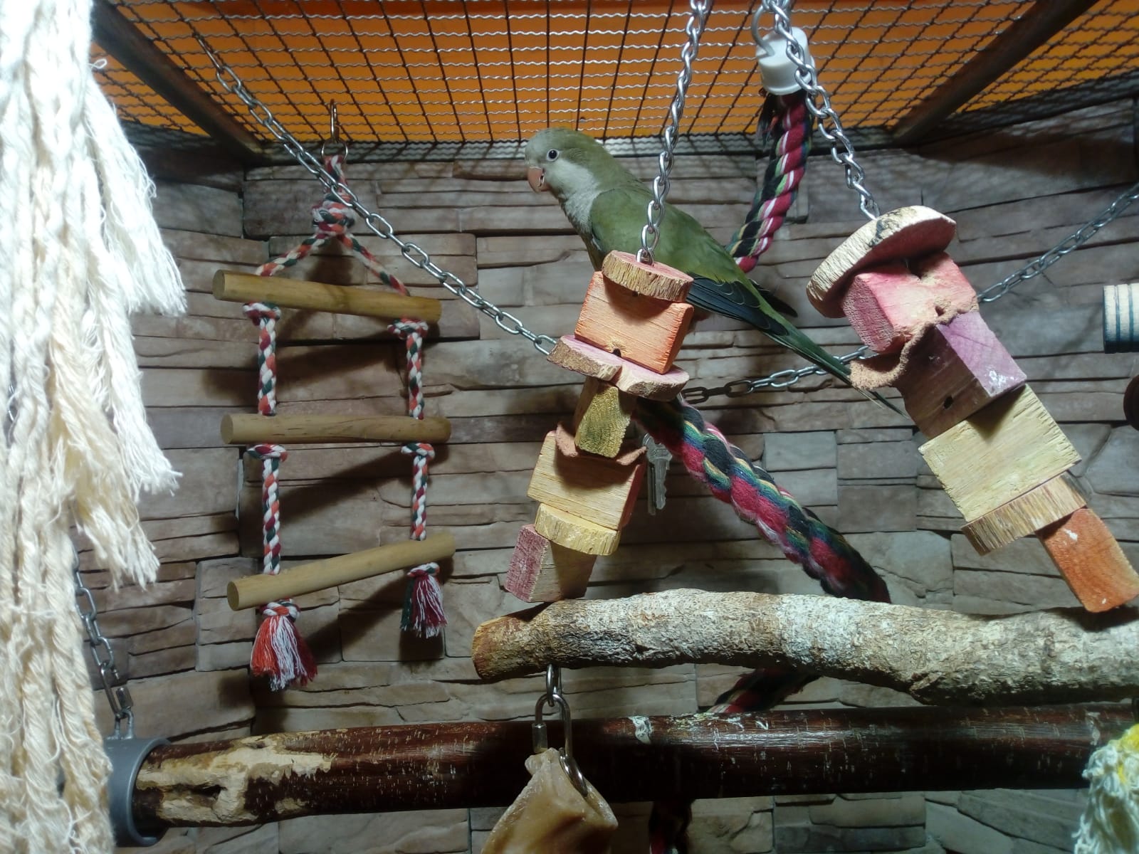 Pet Center foto 4
