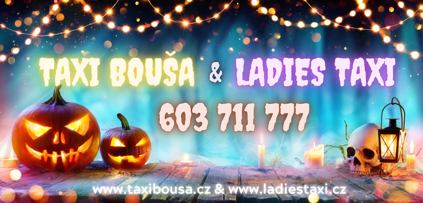 TAXI BOUŠA & LADIES TAXI foto 4