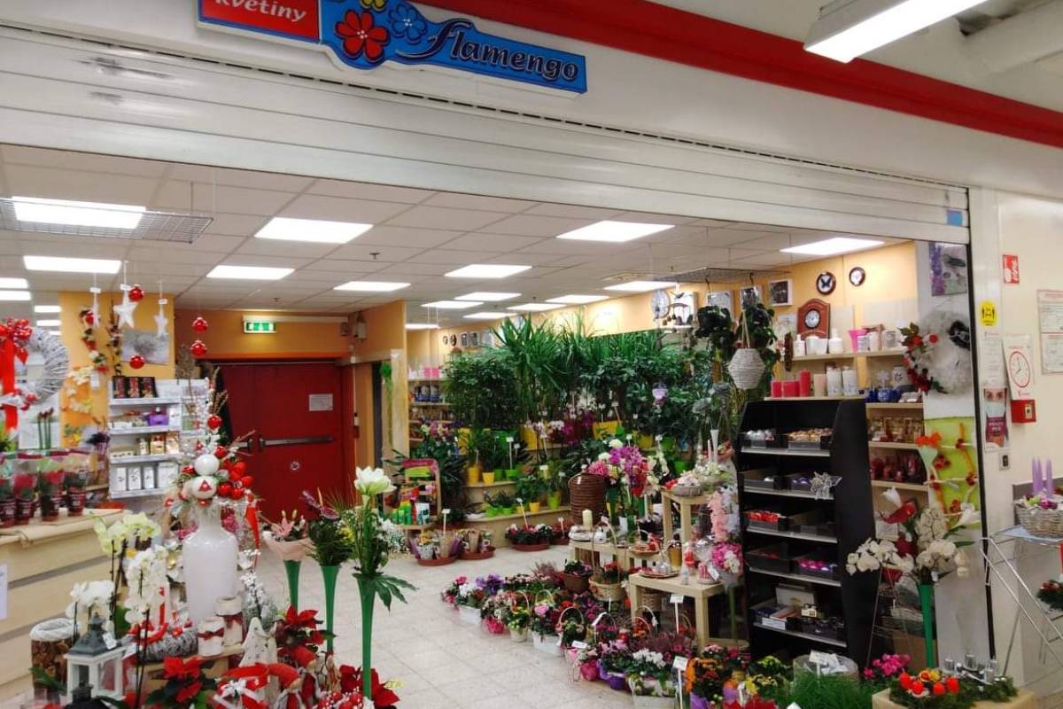 Flamengo květiny foto 2