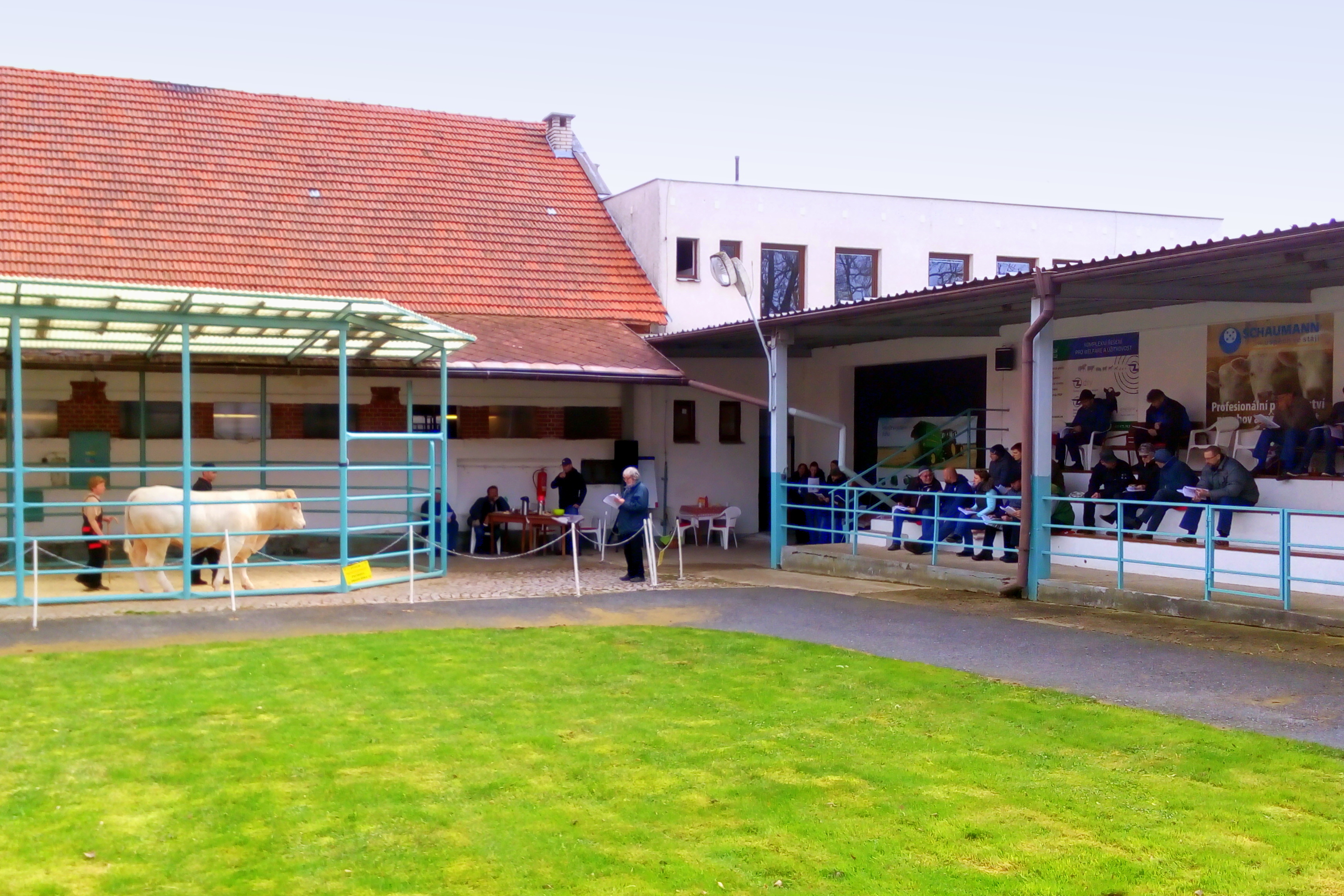 NATURAL, spol. s r.o. - Odchovna plemenných býků foto 1