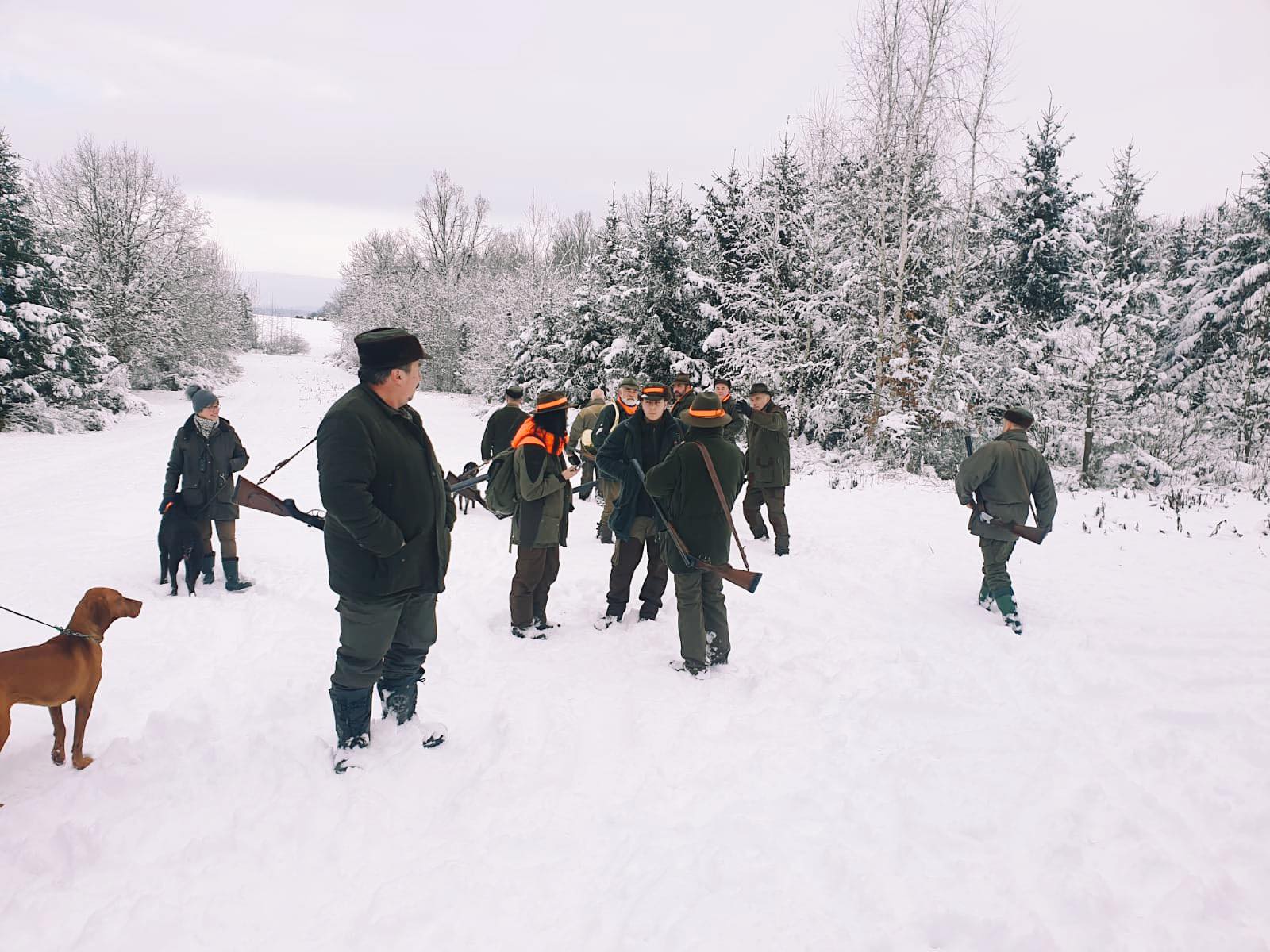 LESOTRANS s.r.o. foto 2