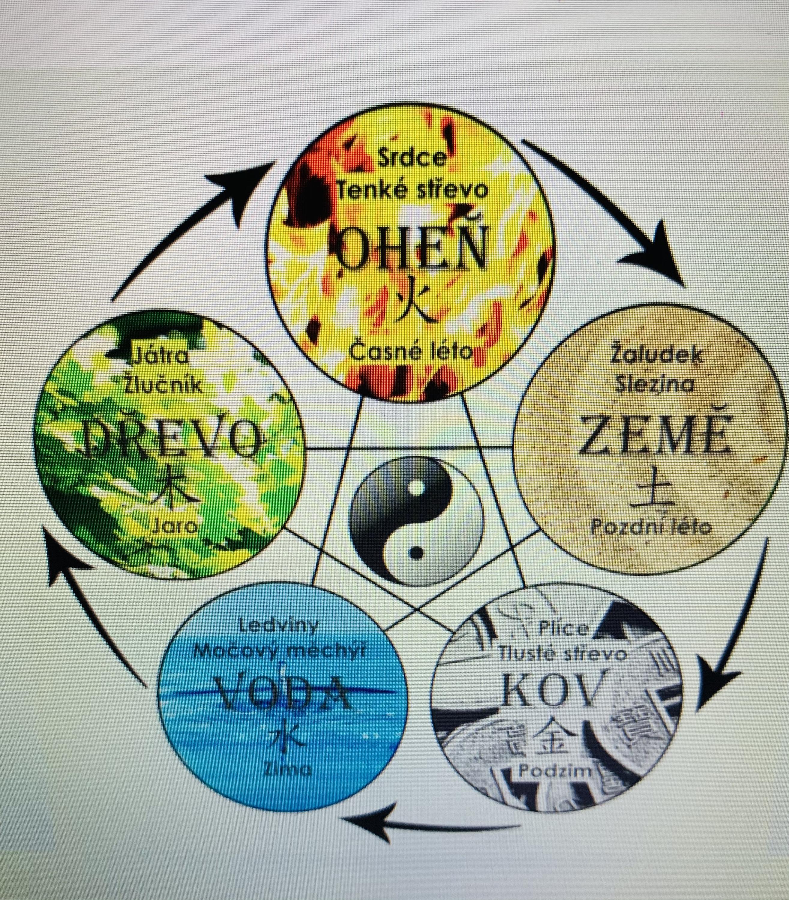 Gifts Of Life foto 3